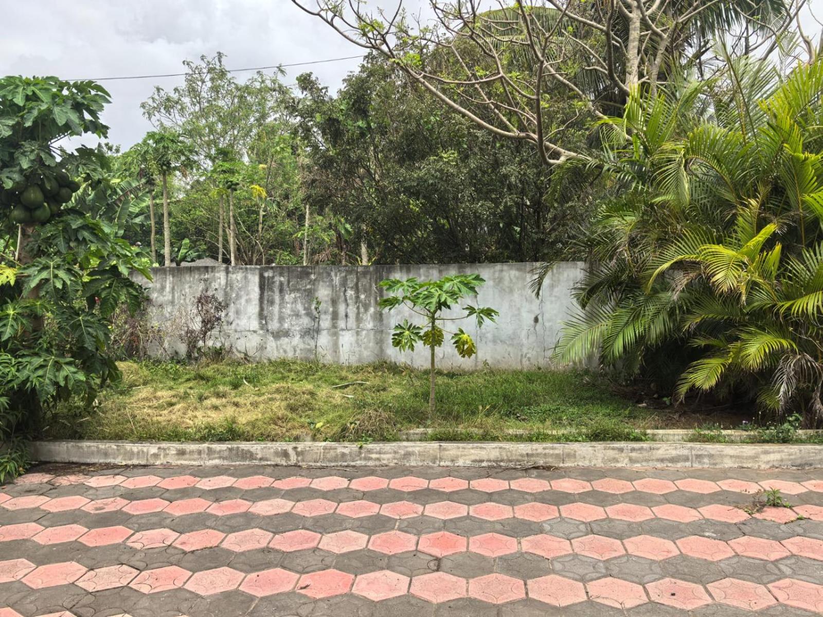 Soothing home view 5