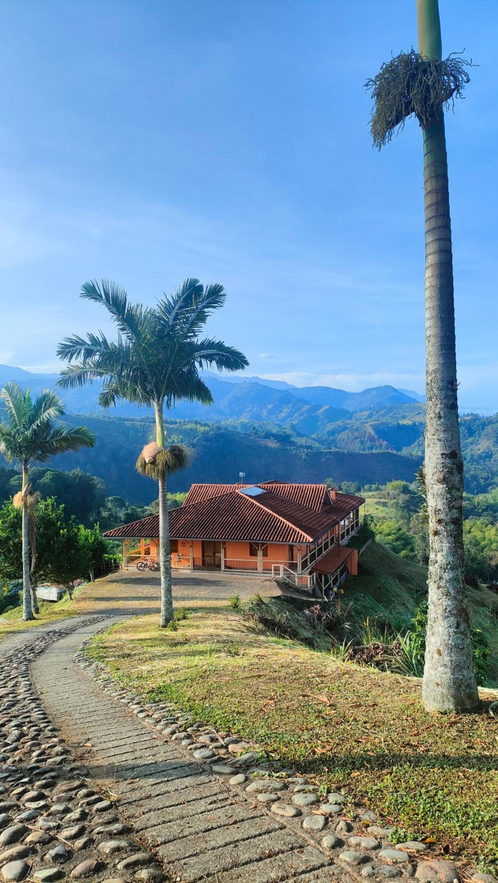 Finca Buenavista