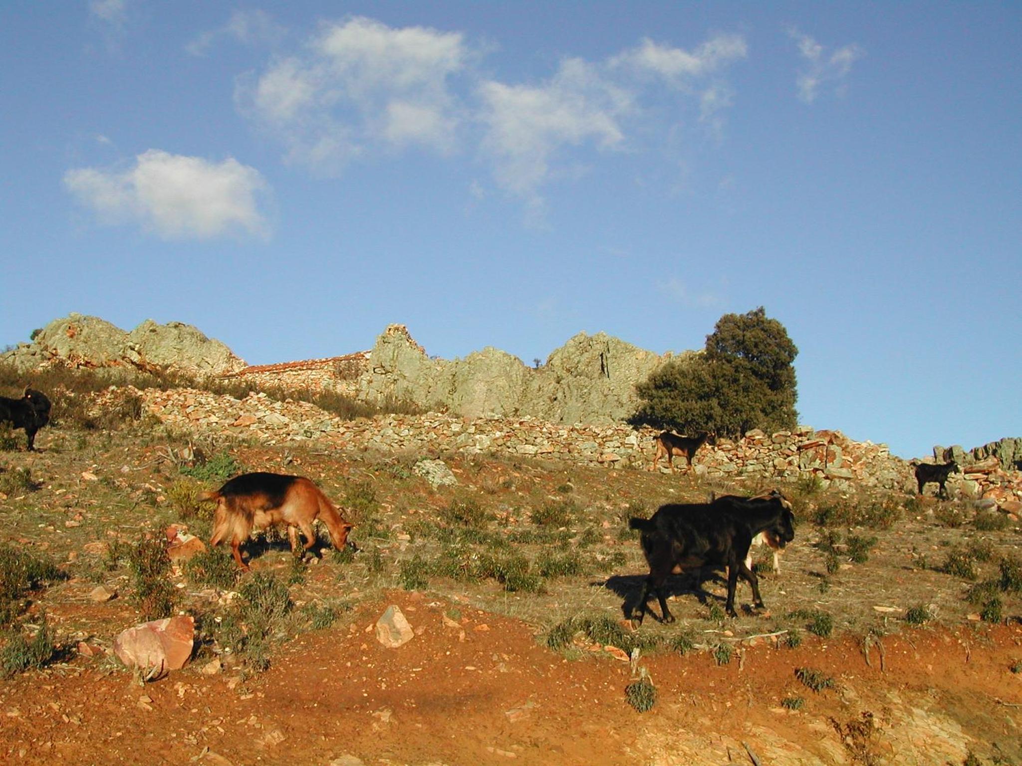 Madre Terra view 2
