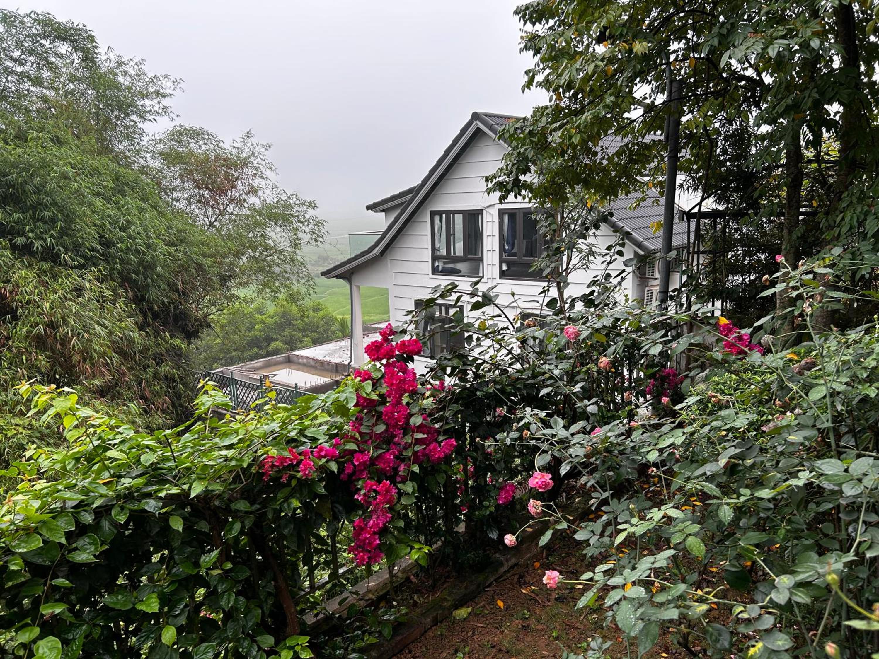Photo 22