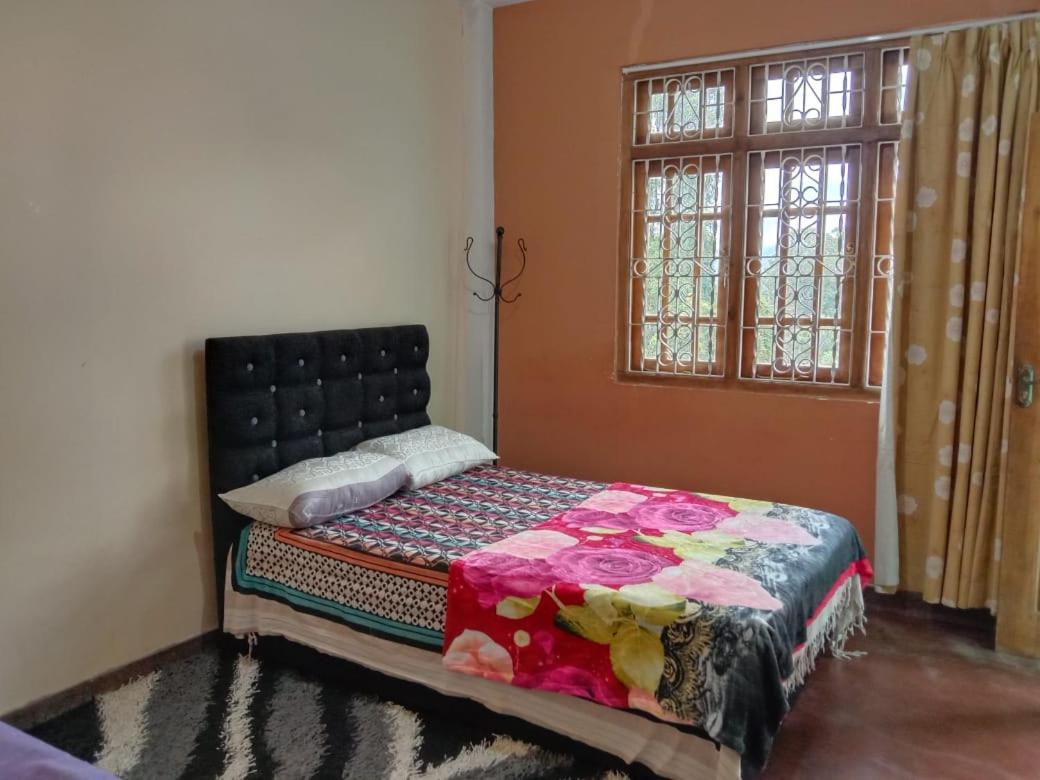 Shane HomeStay