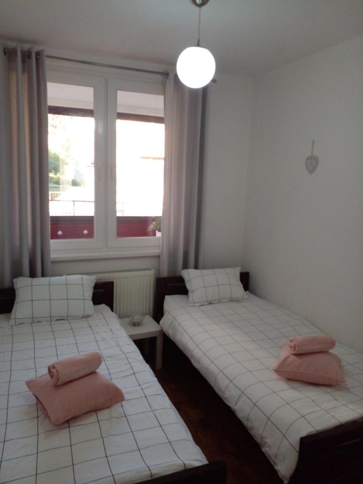 Apartman David