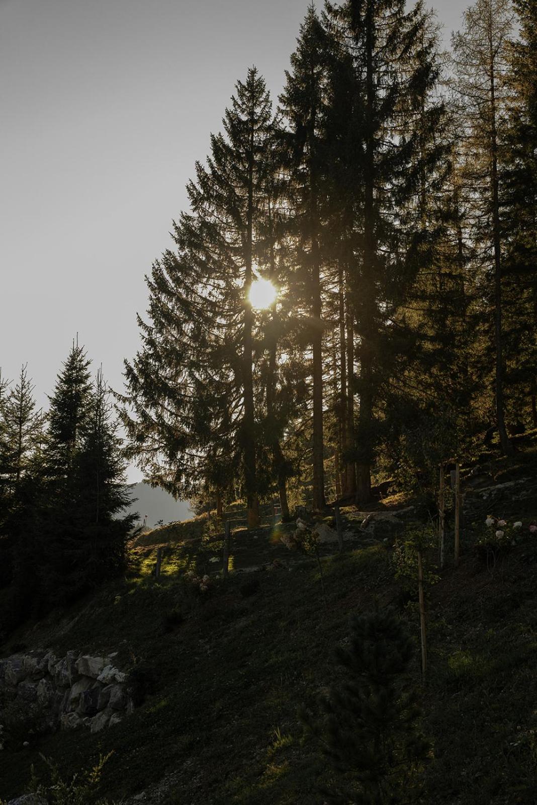 Mountain Hideway Birgkar