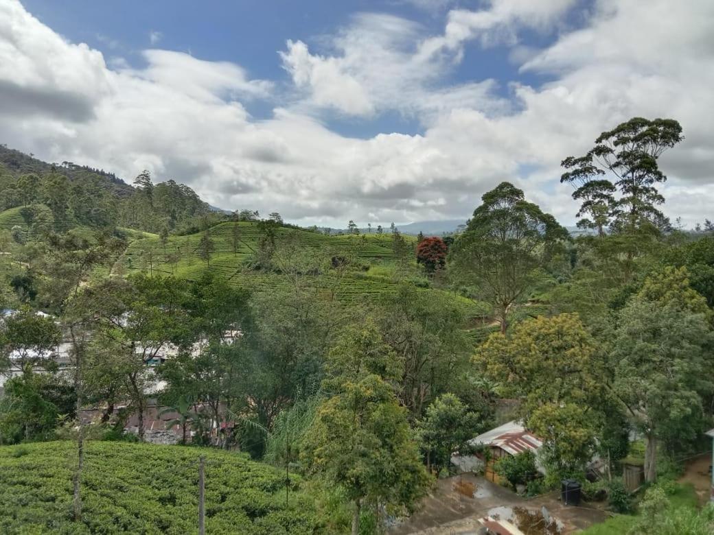 Shane HomeStay