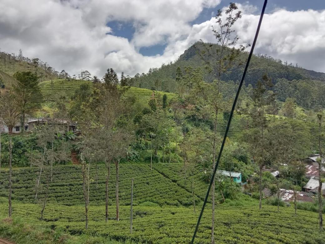Shane HomeStay
