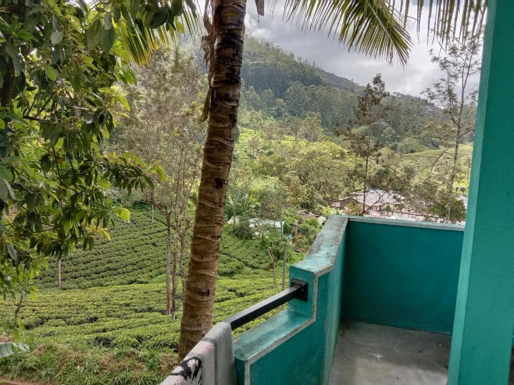 Shane HomeStay