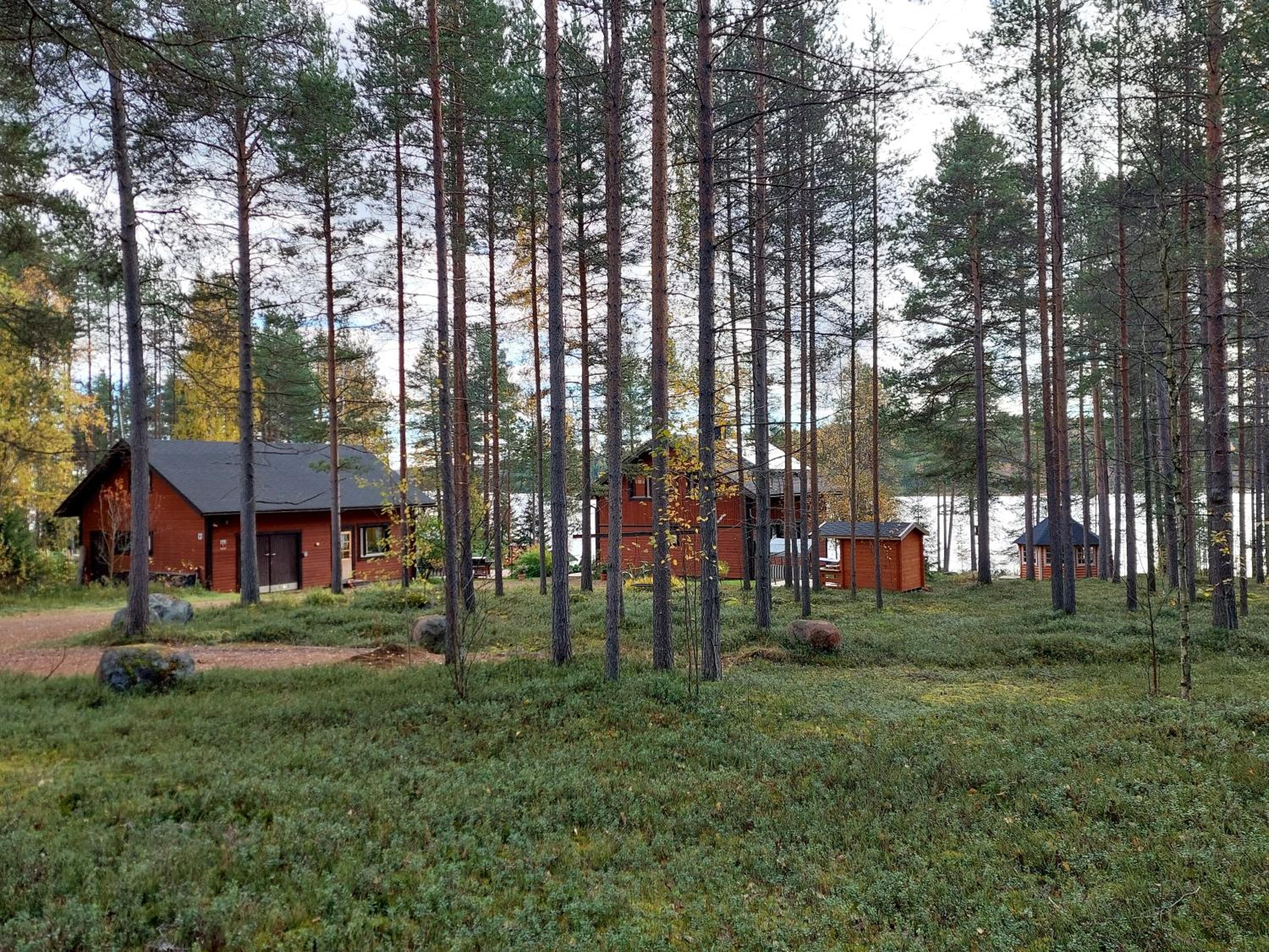 Lakeside Pilke