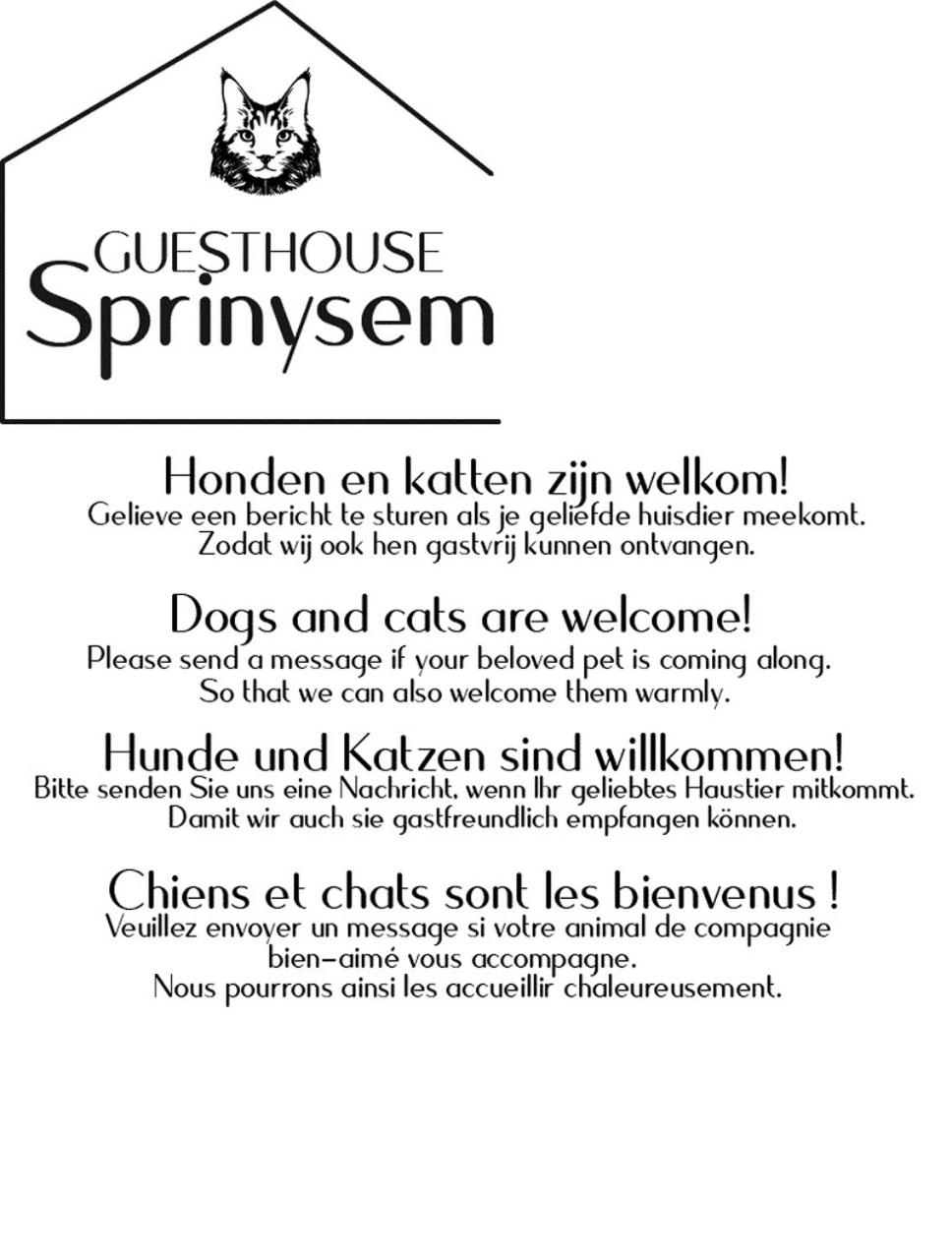 Guesthouse Sprinysem view 5