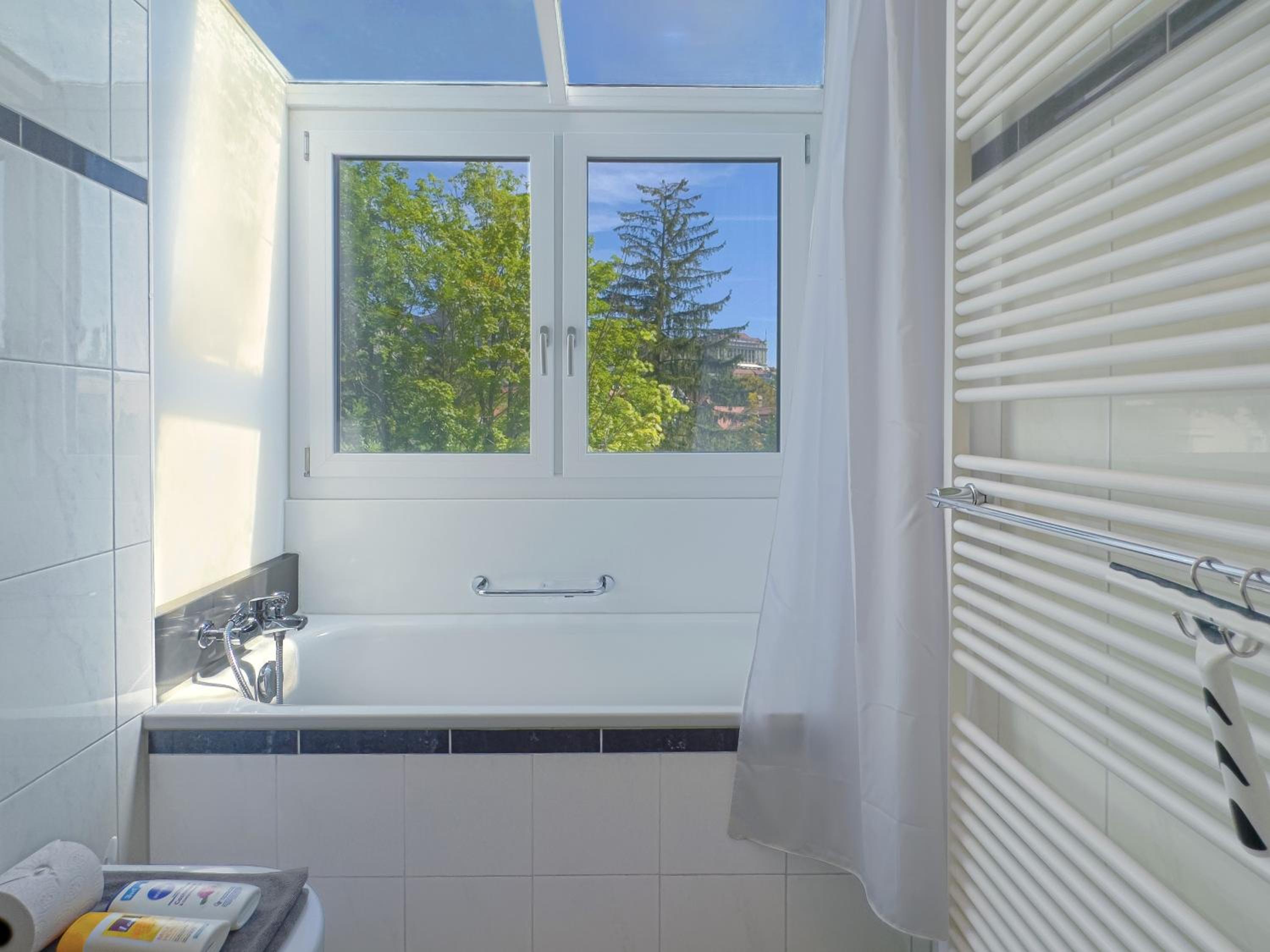 One-Bedroom Apartment with Extra Mattress in Living Room