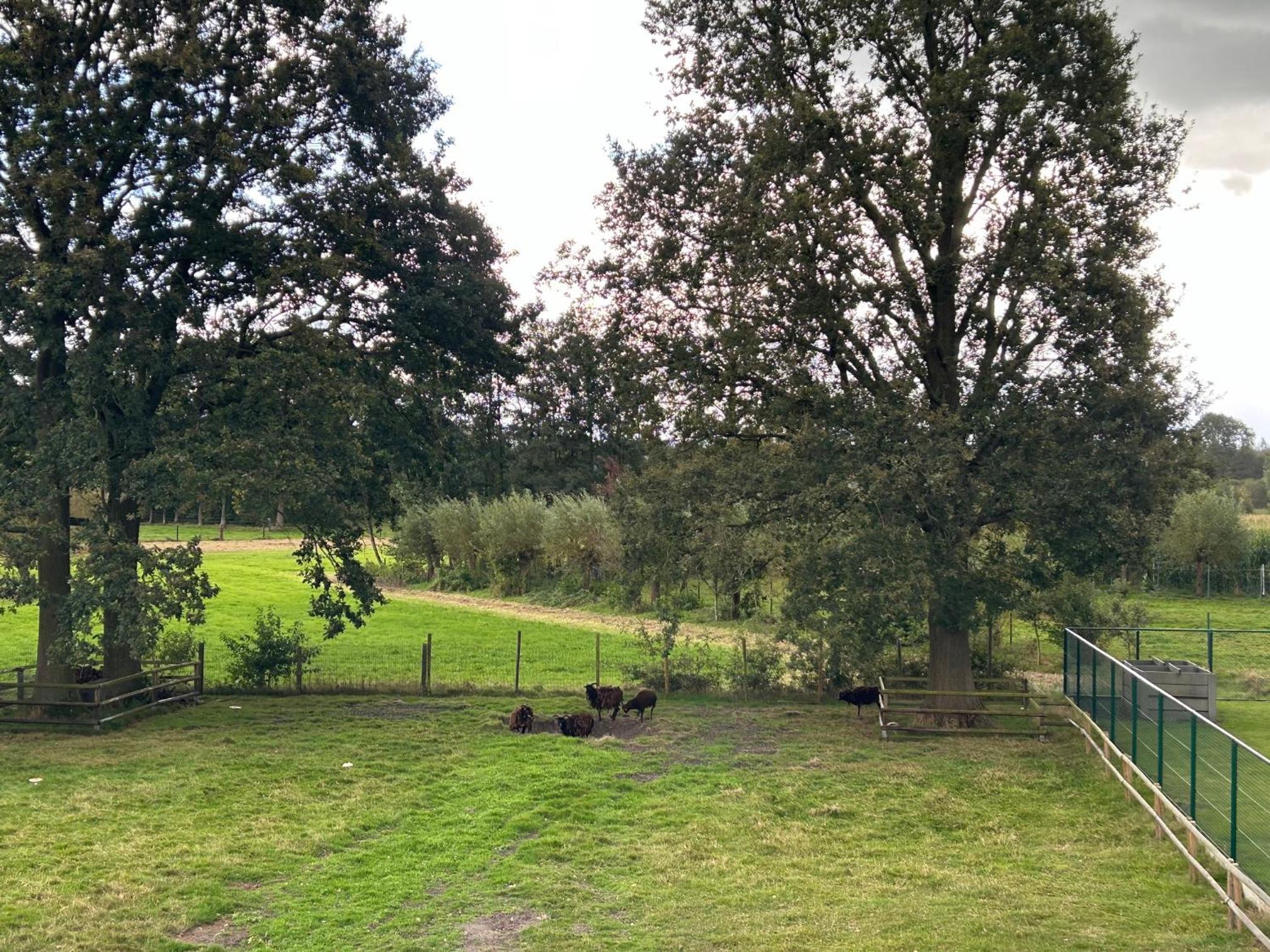 Vakantiewoning Laurijn
