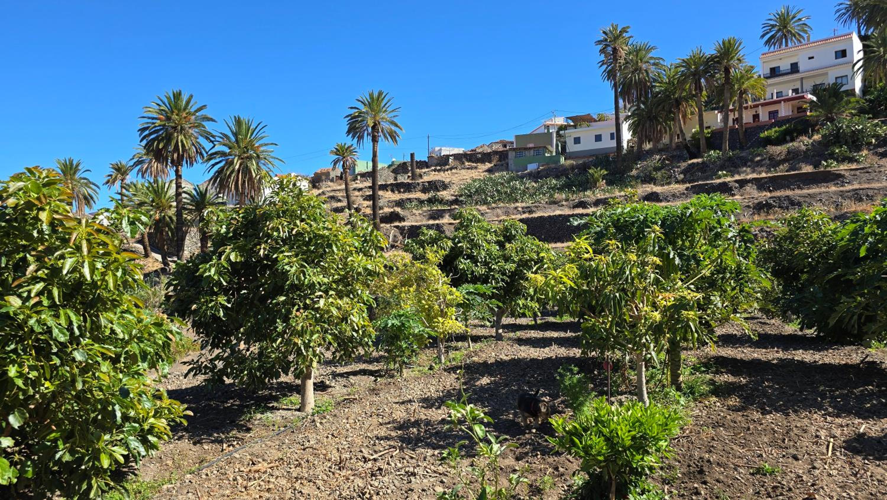 Galeón Ossorio Vistas Panoramicas