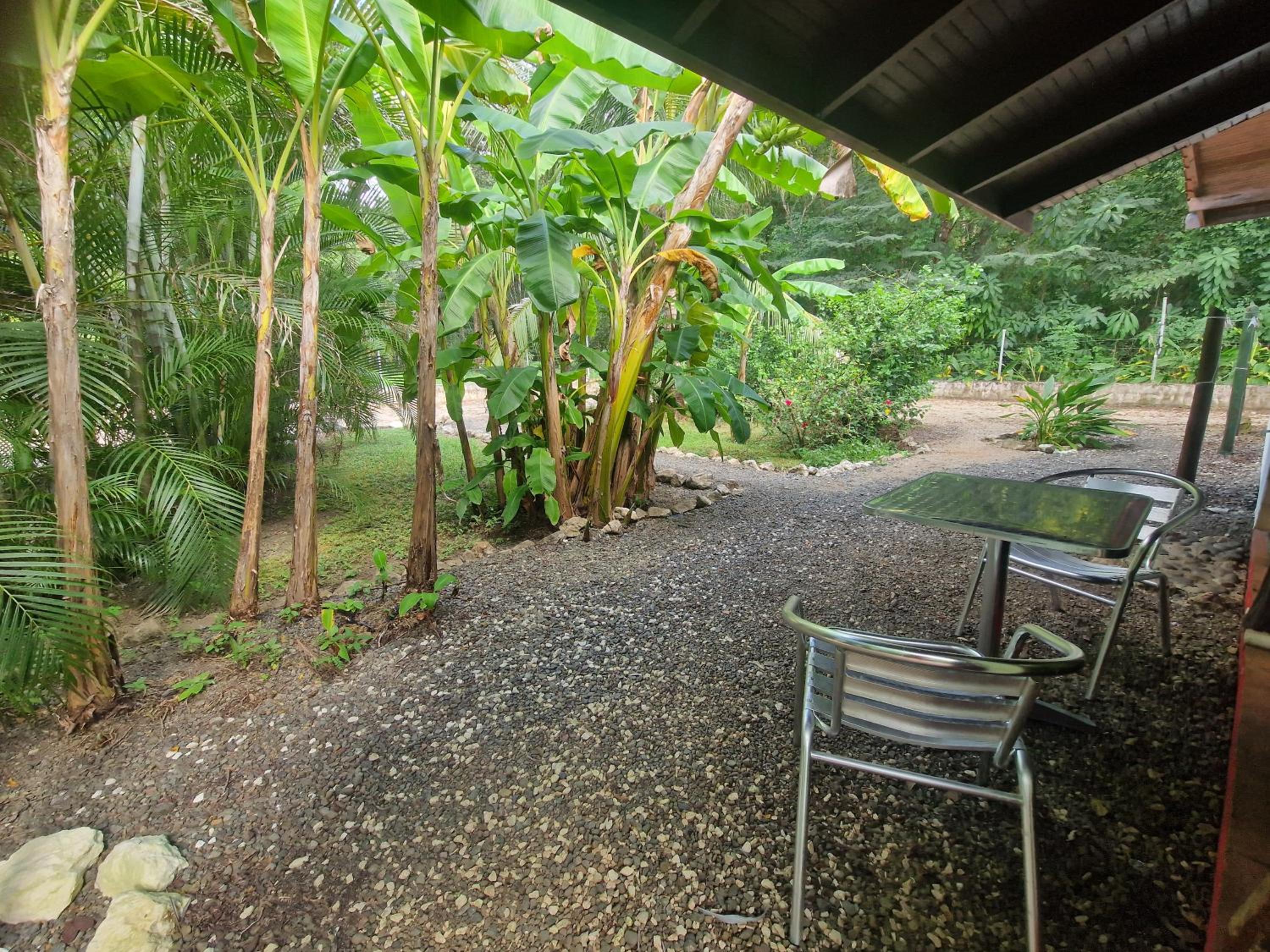 Villas jungle 5