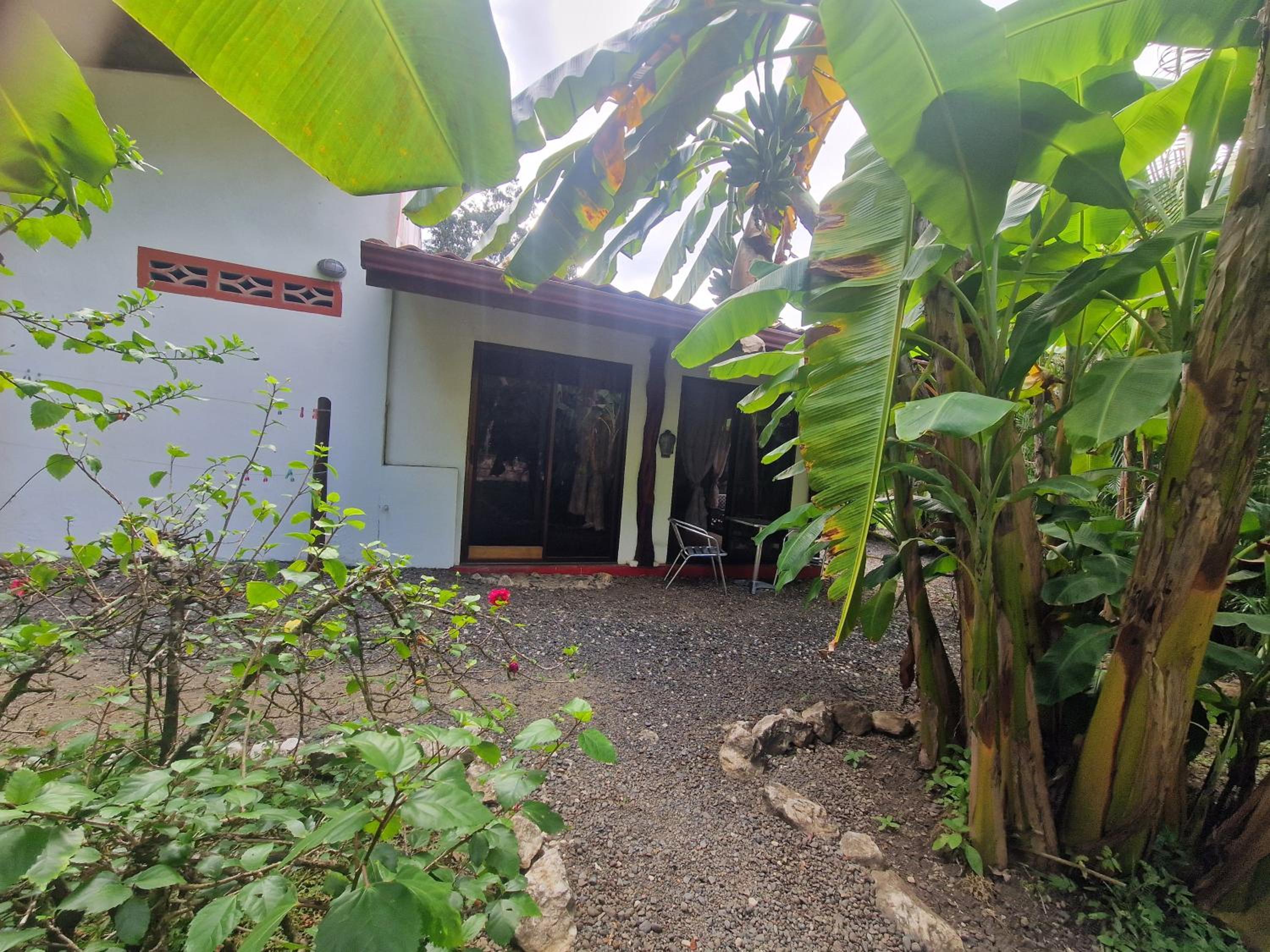 Villas jungle 5