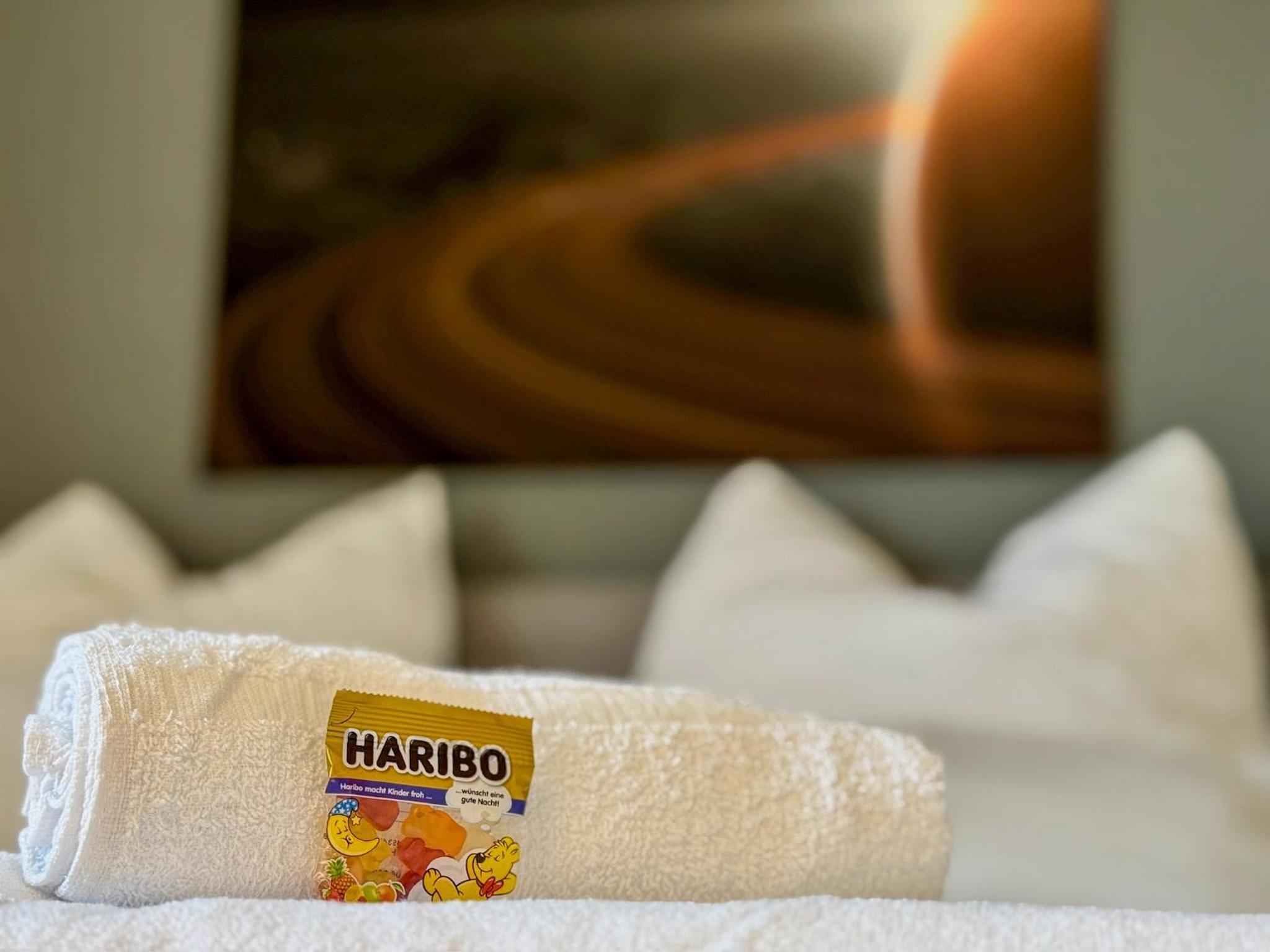 HARIKOA Apartment - close to City Center - FREE PARKING - Netflix - fast WiFi