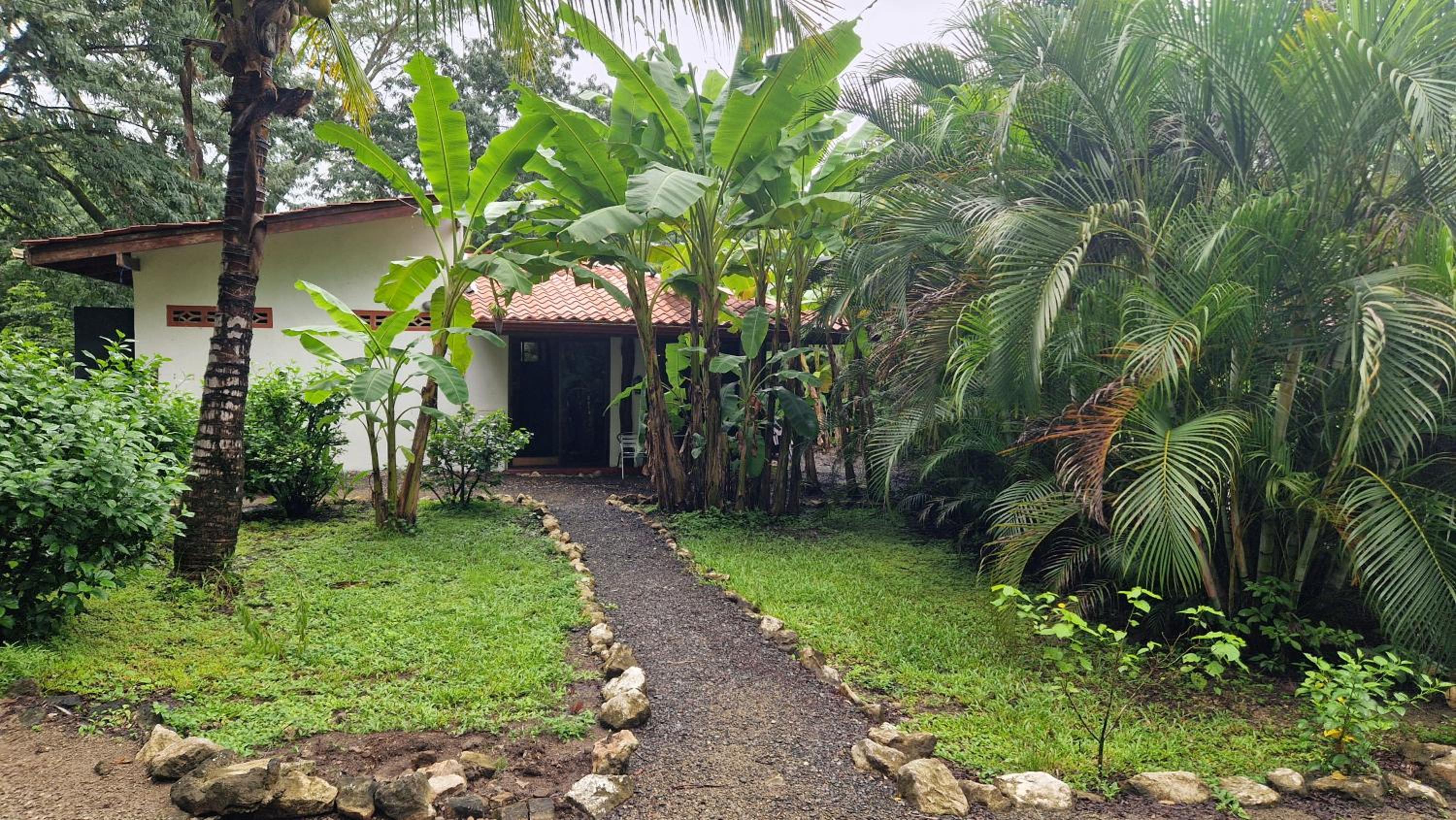 Villas jungle 5