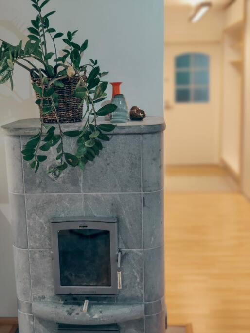 Cozy Retriet nearby Airport