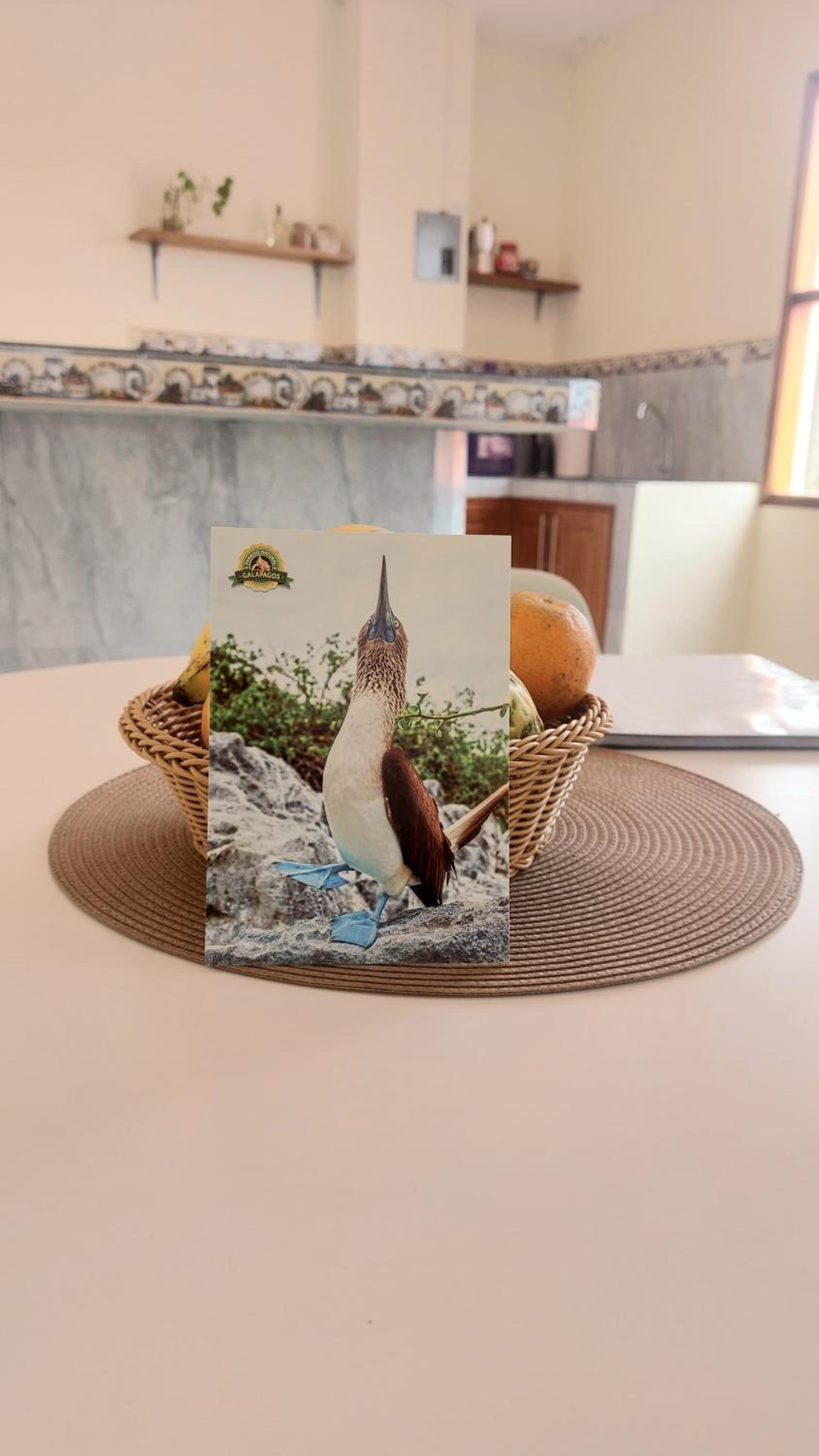 Casa Playa Los Marinos