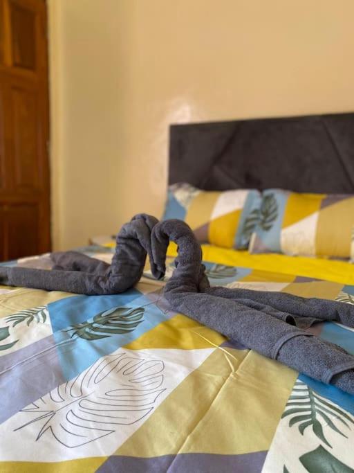 Logement confortable - Soumbedioune