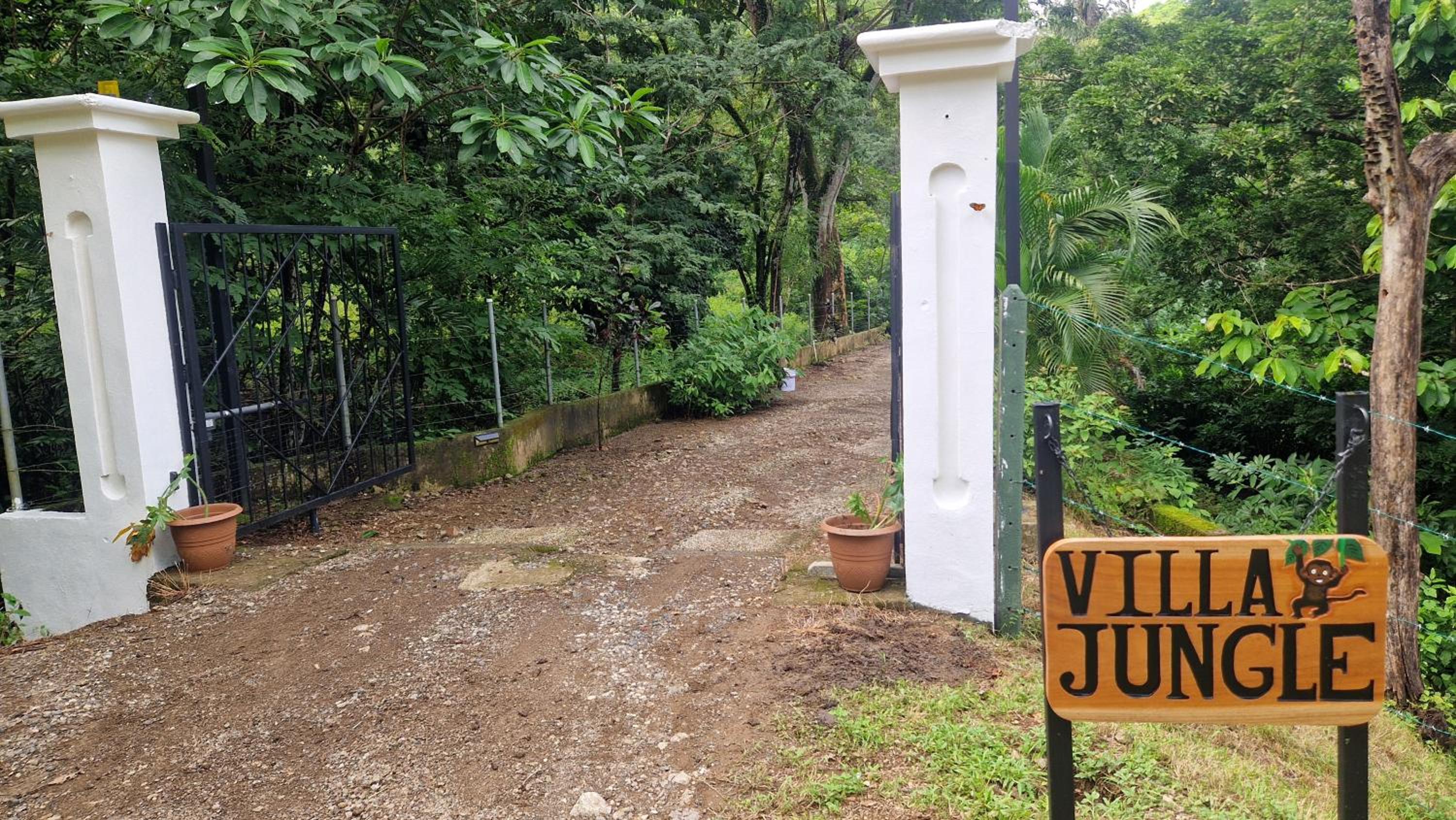 Villas jungle 5