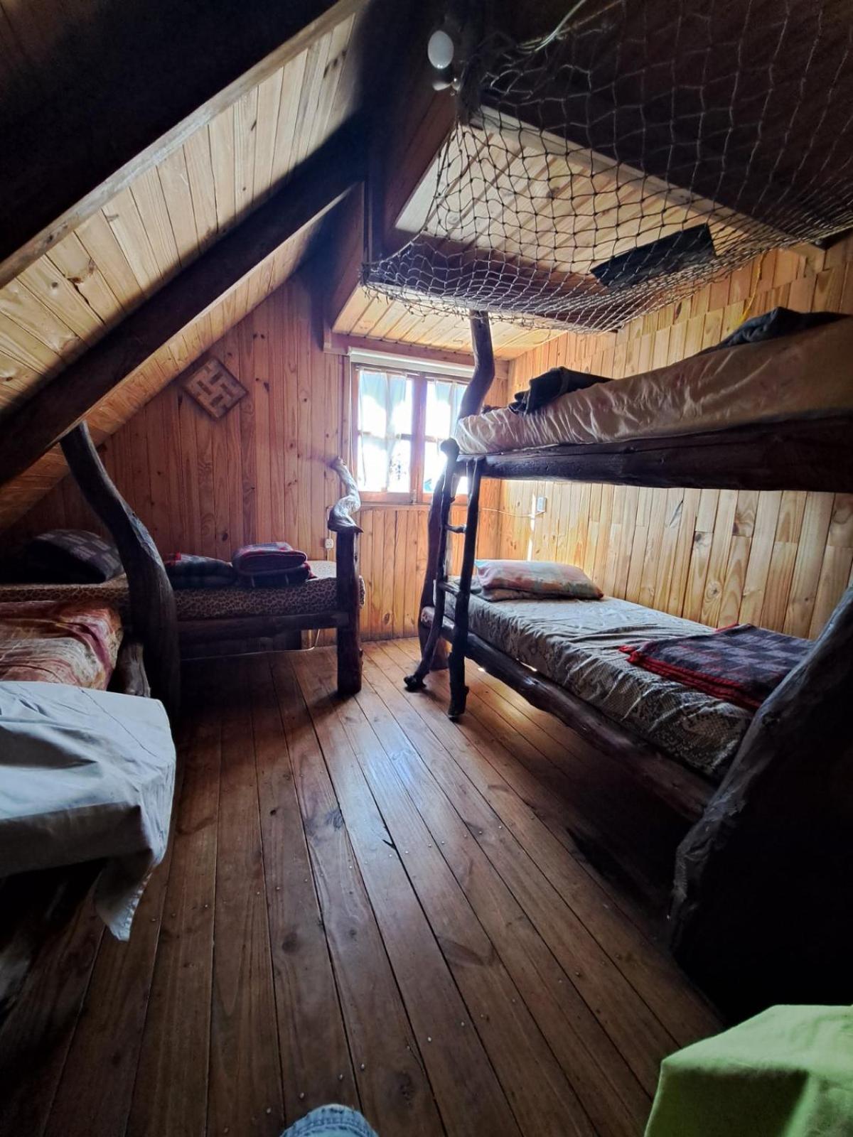el refugio de caniche