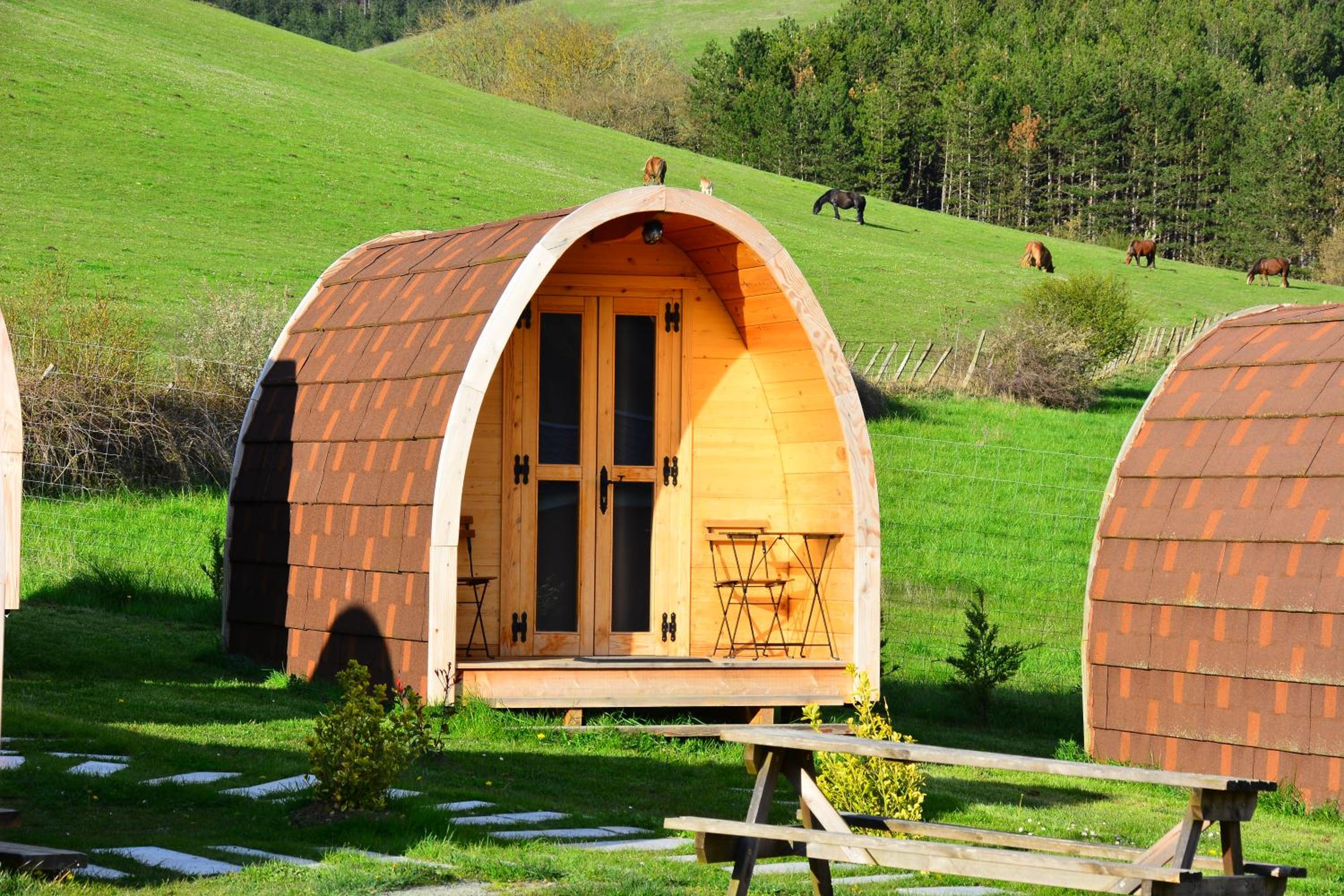 Camping IZARPE