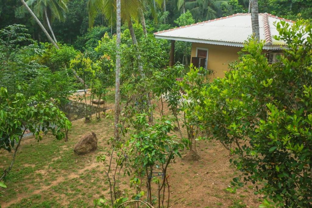 Cinnamon Jungle villa, one bedroom villa view 2