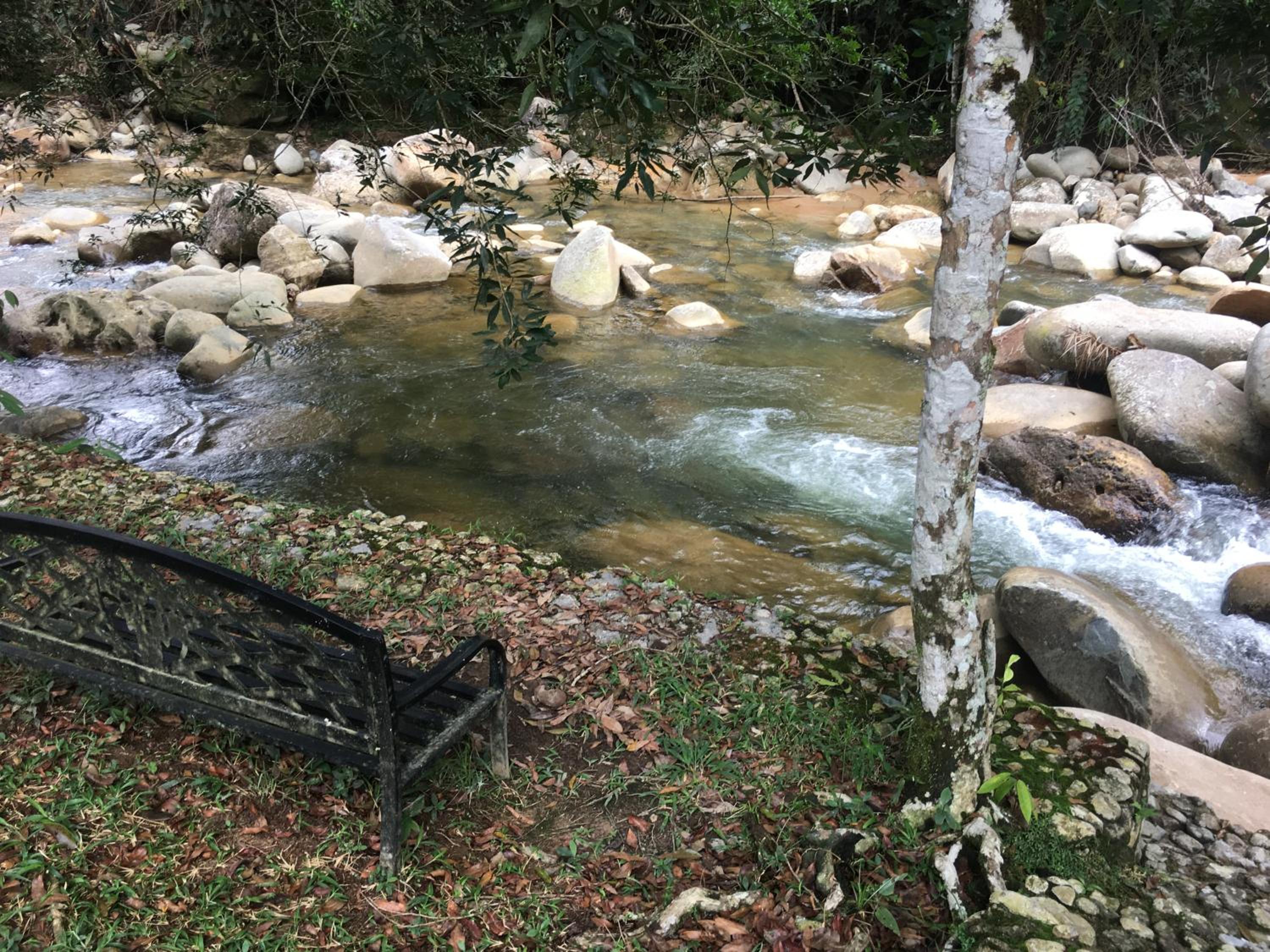 Finca Vereda La Tebaida