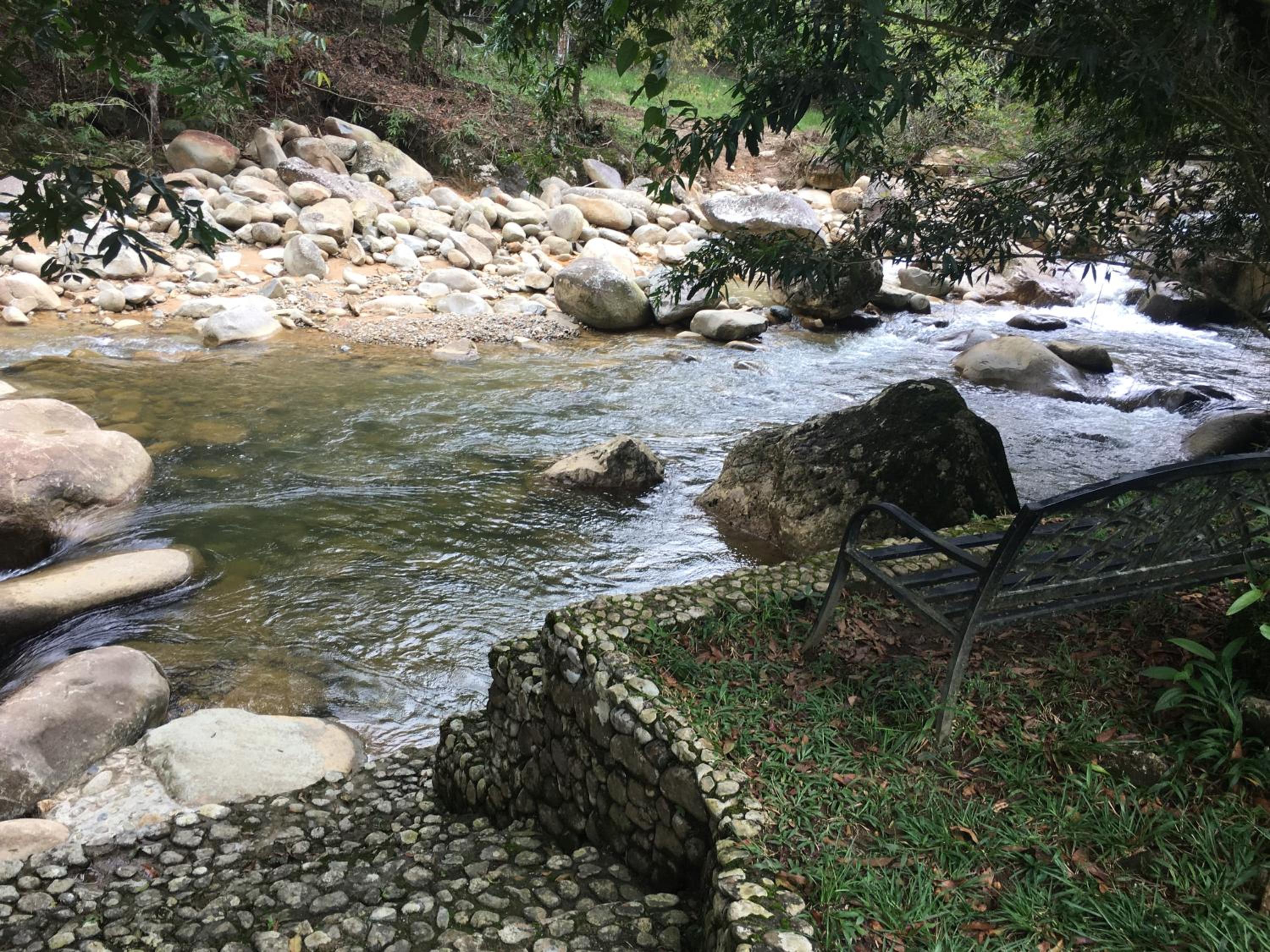 Finca Vereda La Tebaida