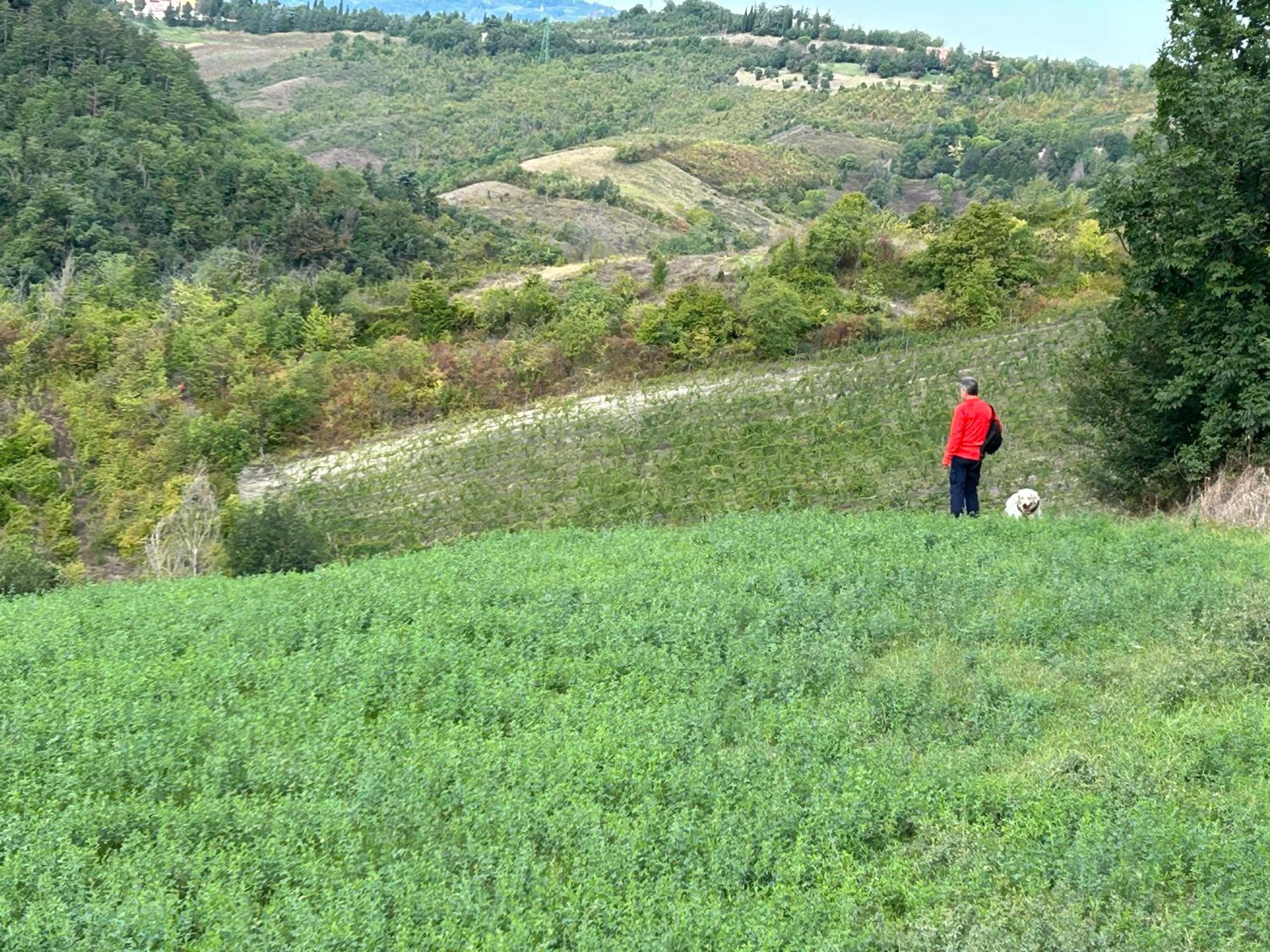 Photo 23
