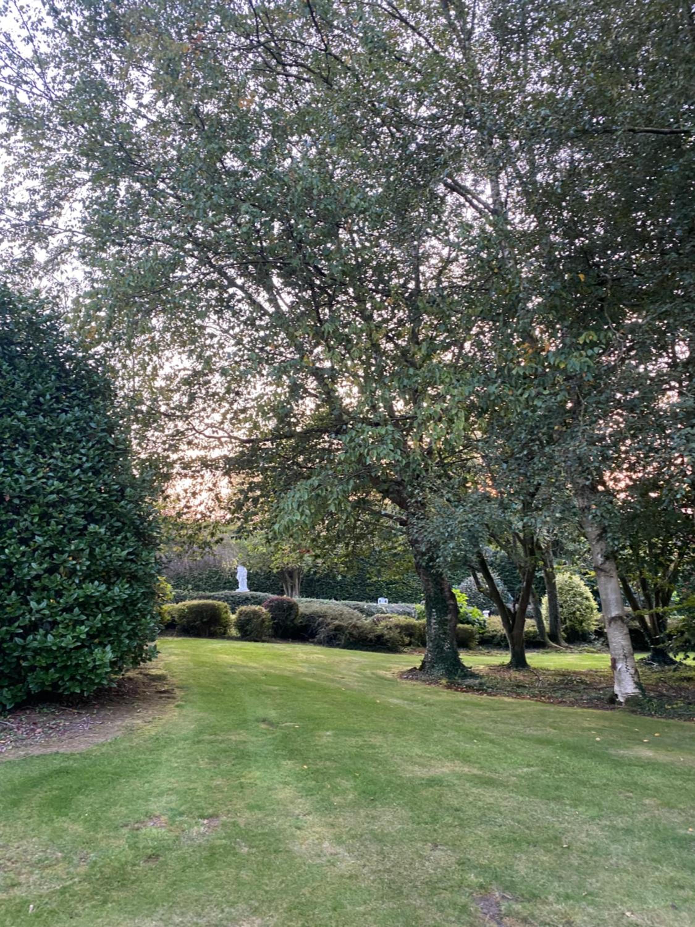 Winterwood