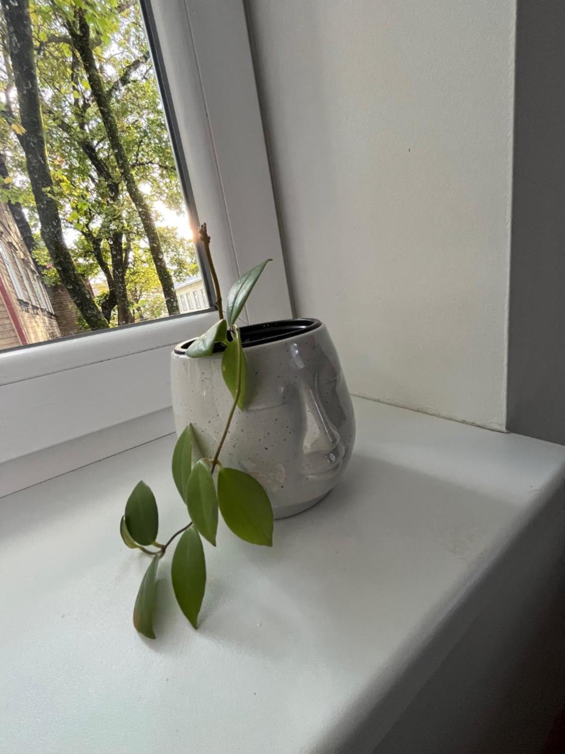 Laura comfy city apartment studio Kappeli 8-2 near Tallinn airport, next to the bus station view 4