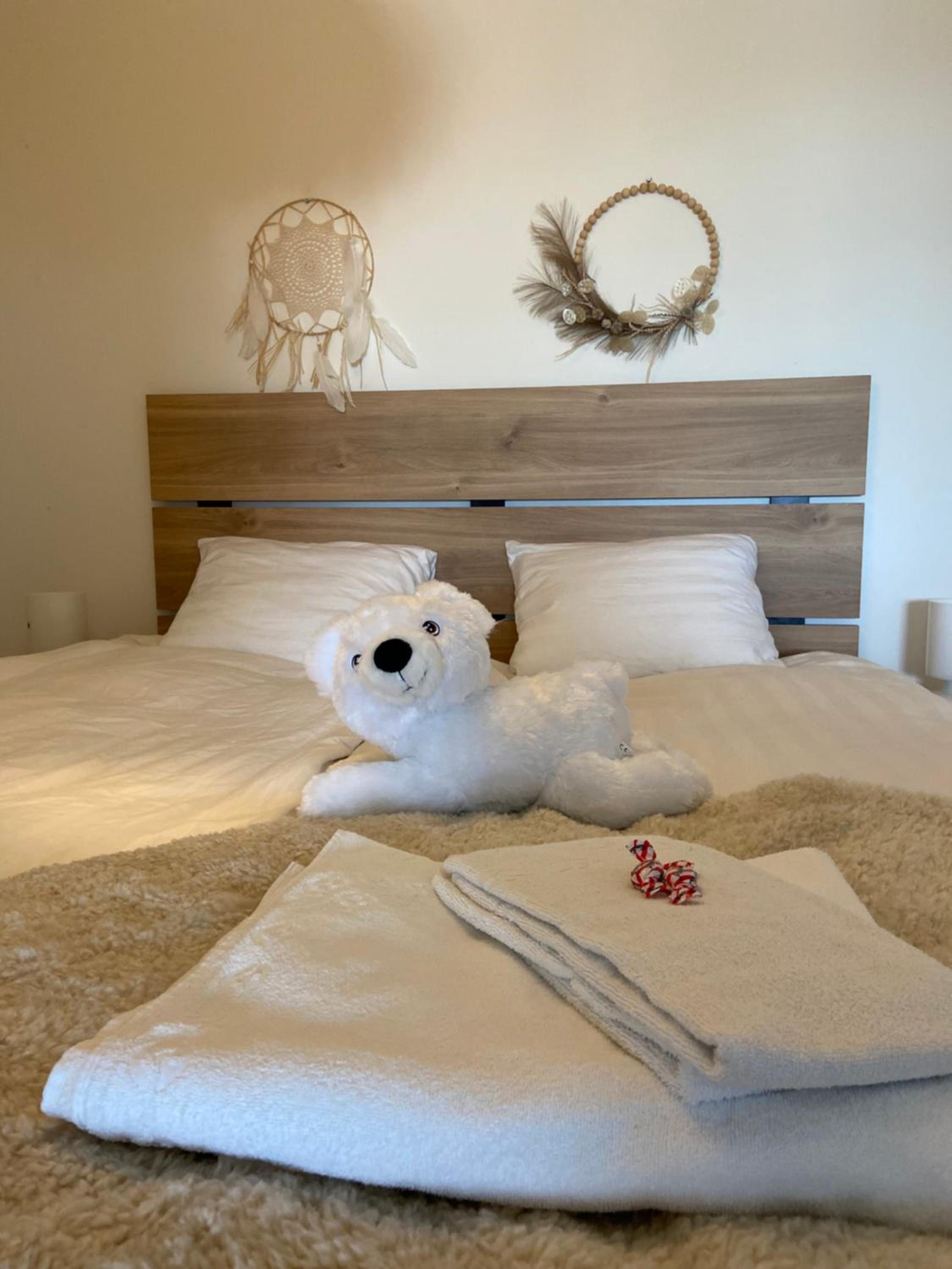 Polar Suite