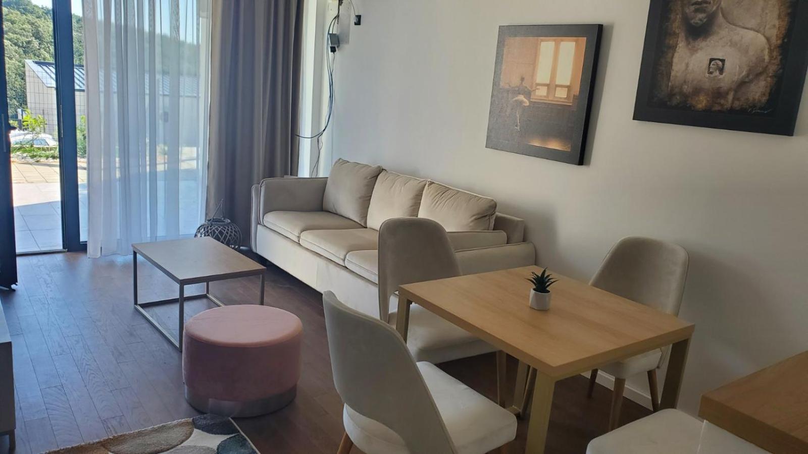 Apartman Kosmajska Vila view 5