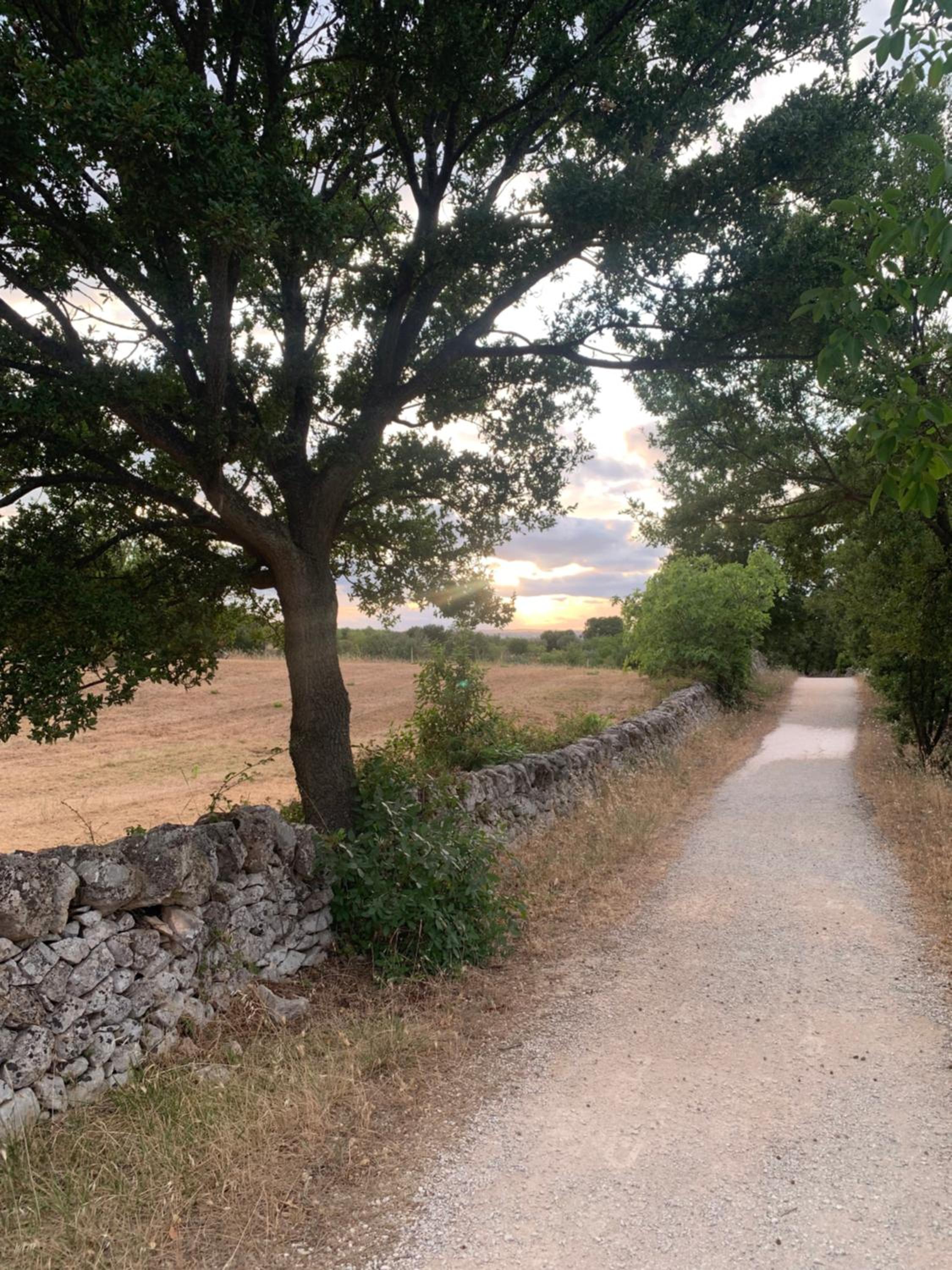 Casale Montedoro