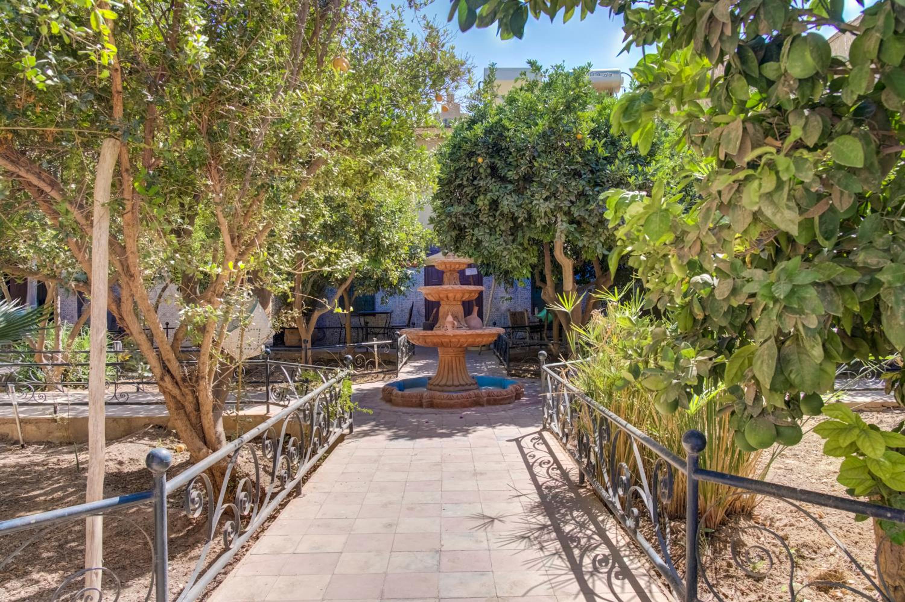 Riad Elaissi