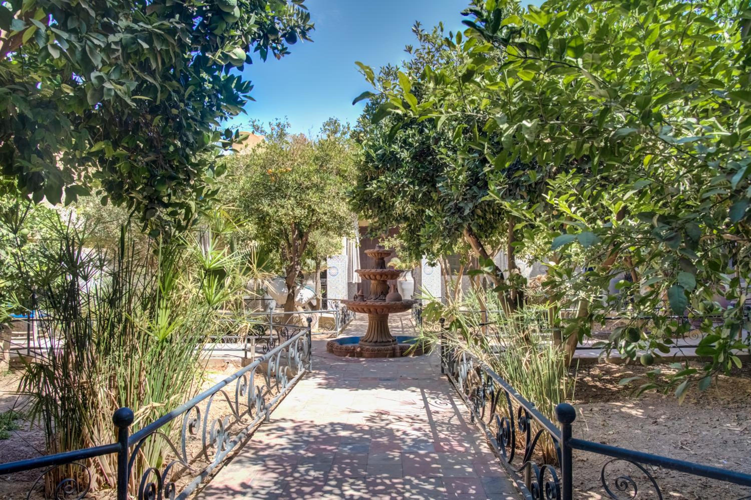 Riad Elaissi