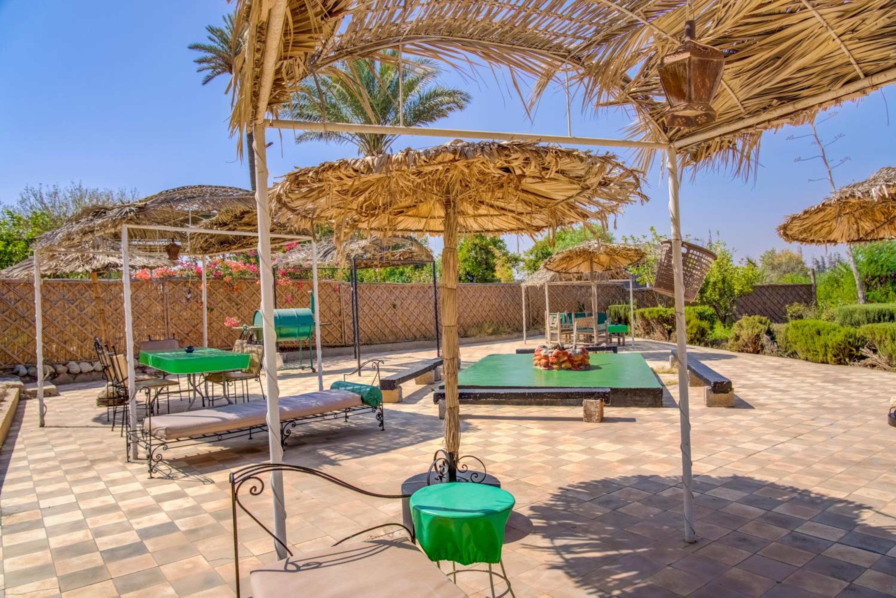 Riad Elaissi