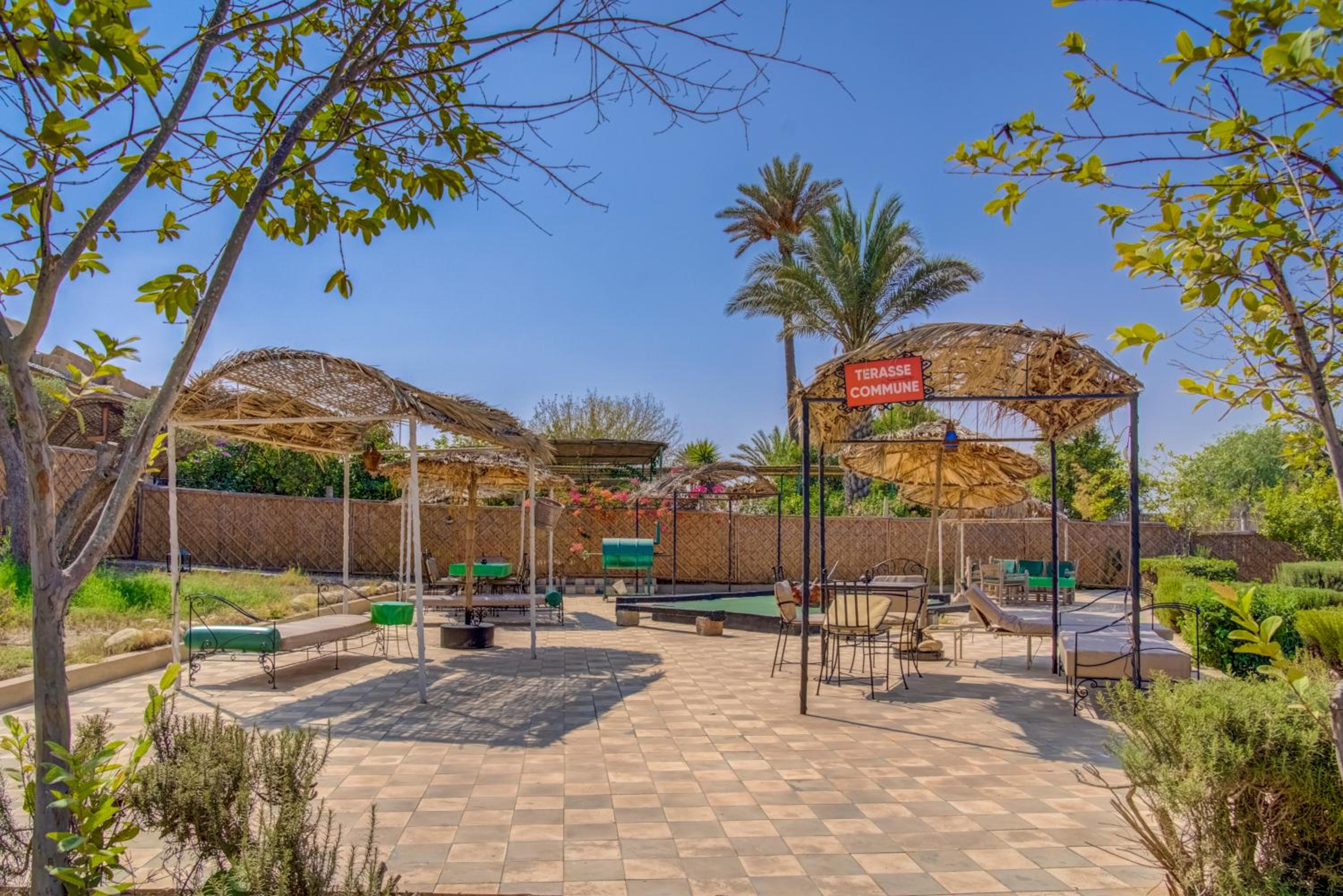 Riad Elaissi
