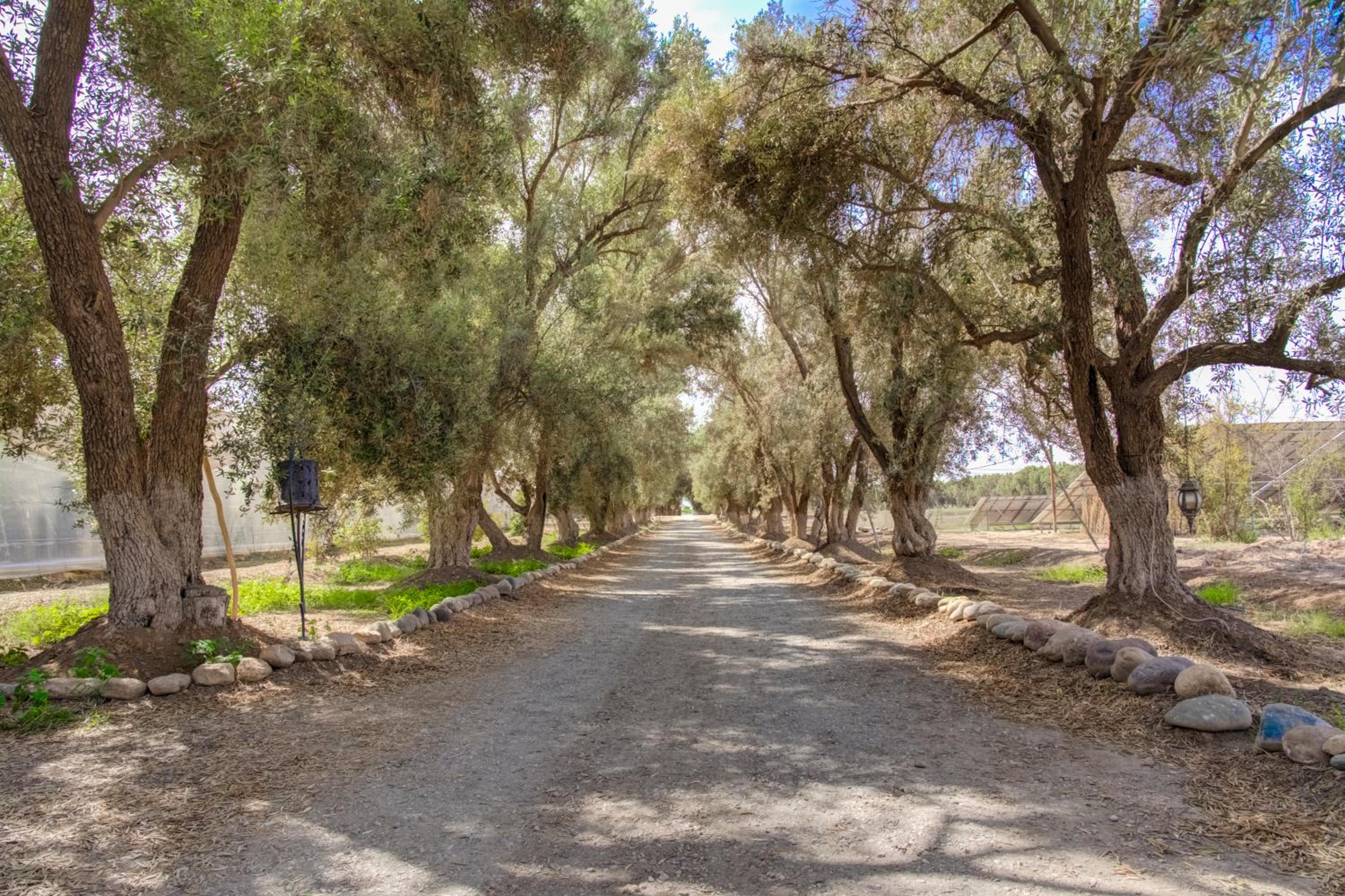 Riad Elaissi