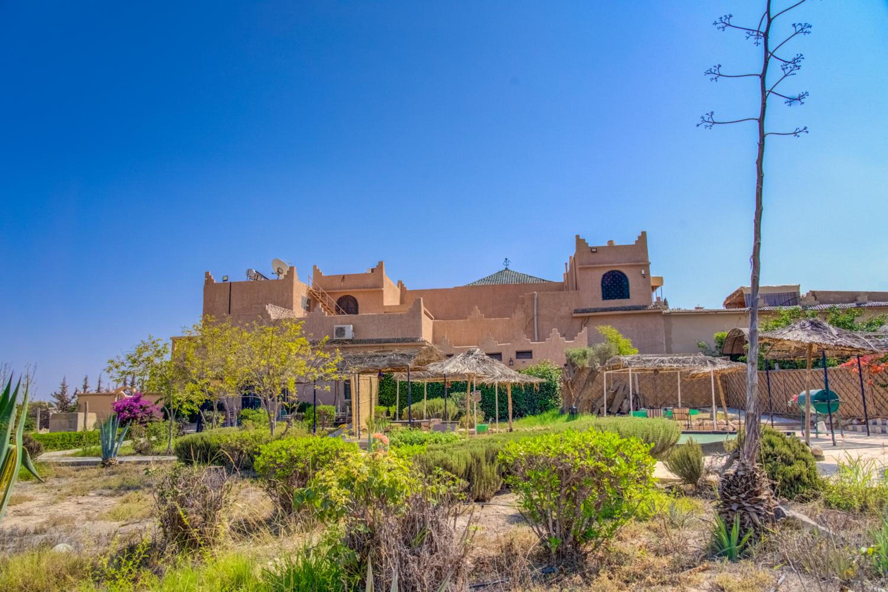 Riad Elaissi