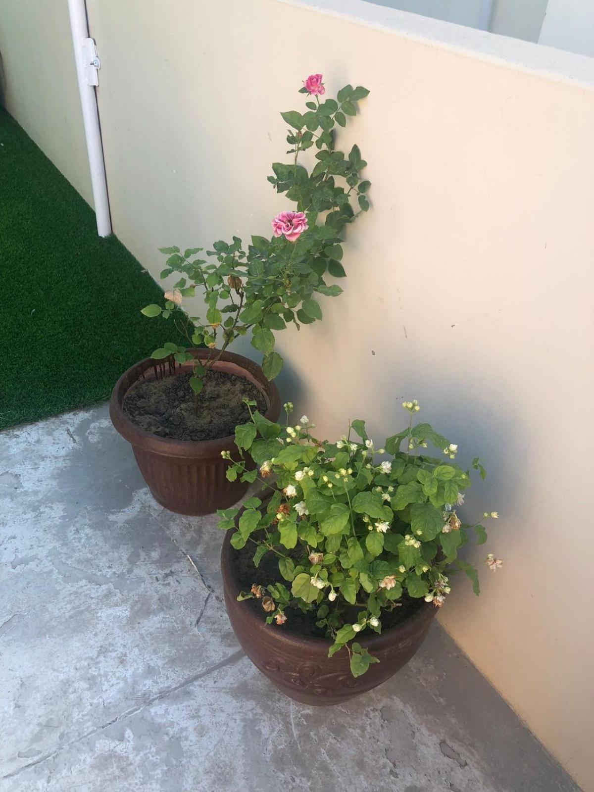 Photo 28