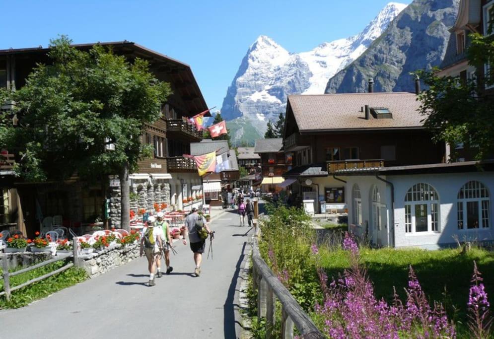 Your home in Mürren near the ski slopes and hiking trails