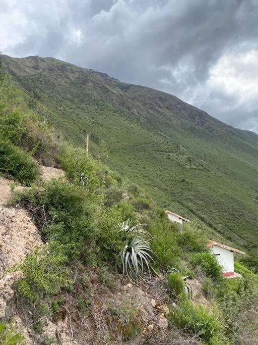 Cabaña Yanahura Panoramic view
