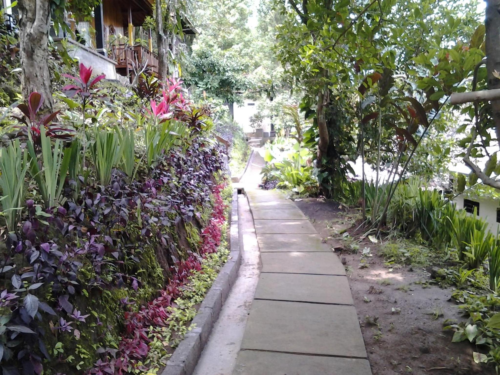 Photo 23