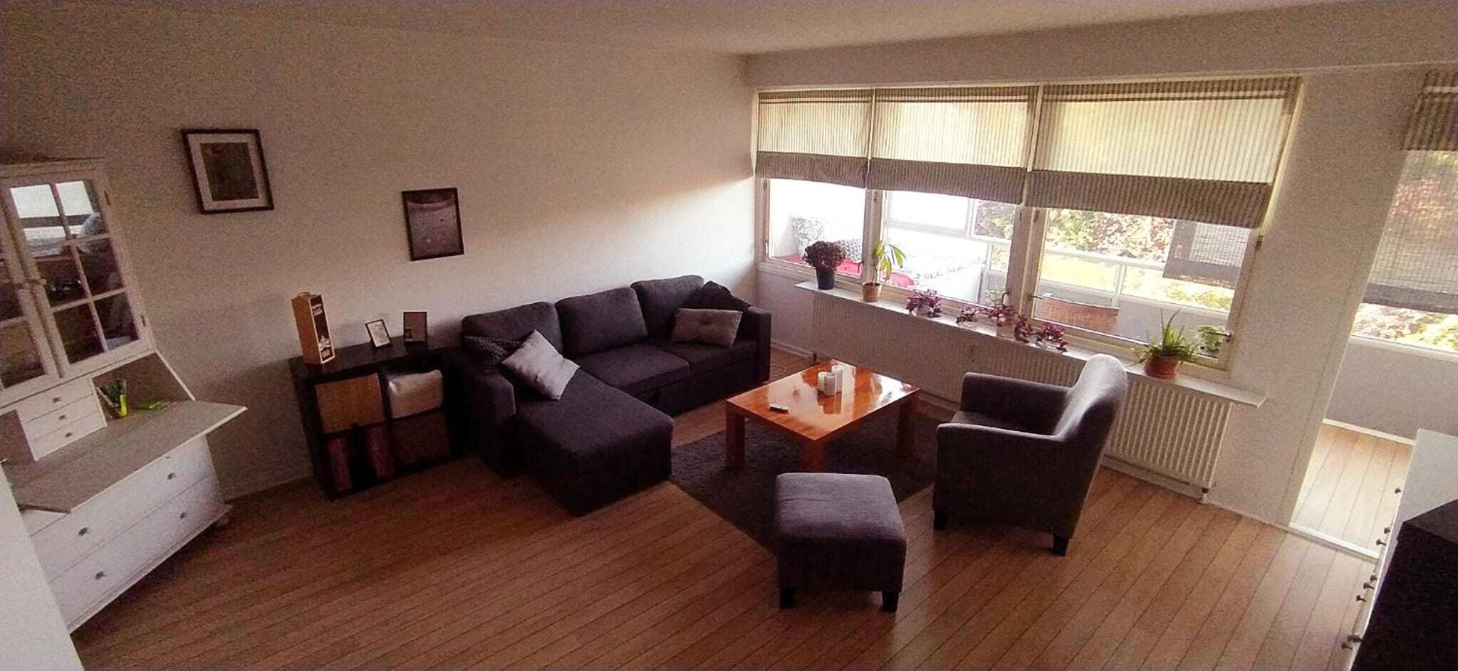 Sunny, spacious, and quiet apt view 2