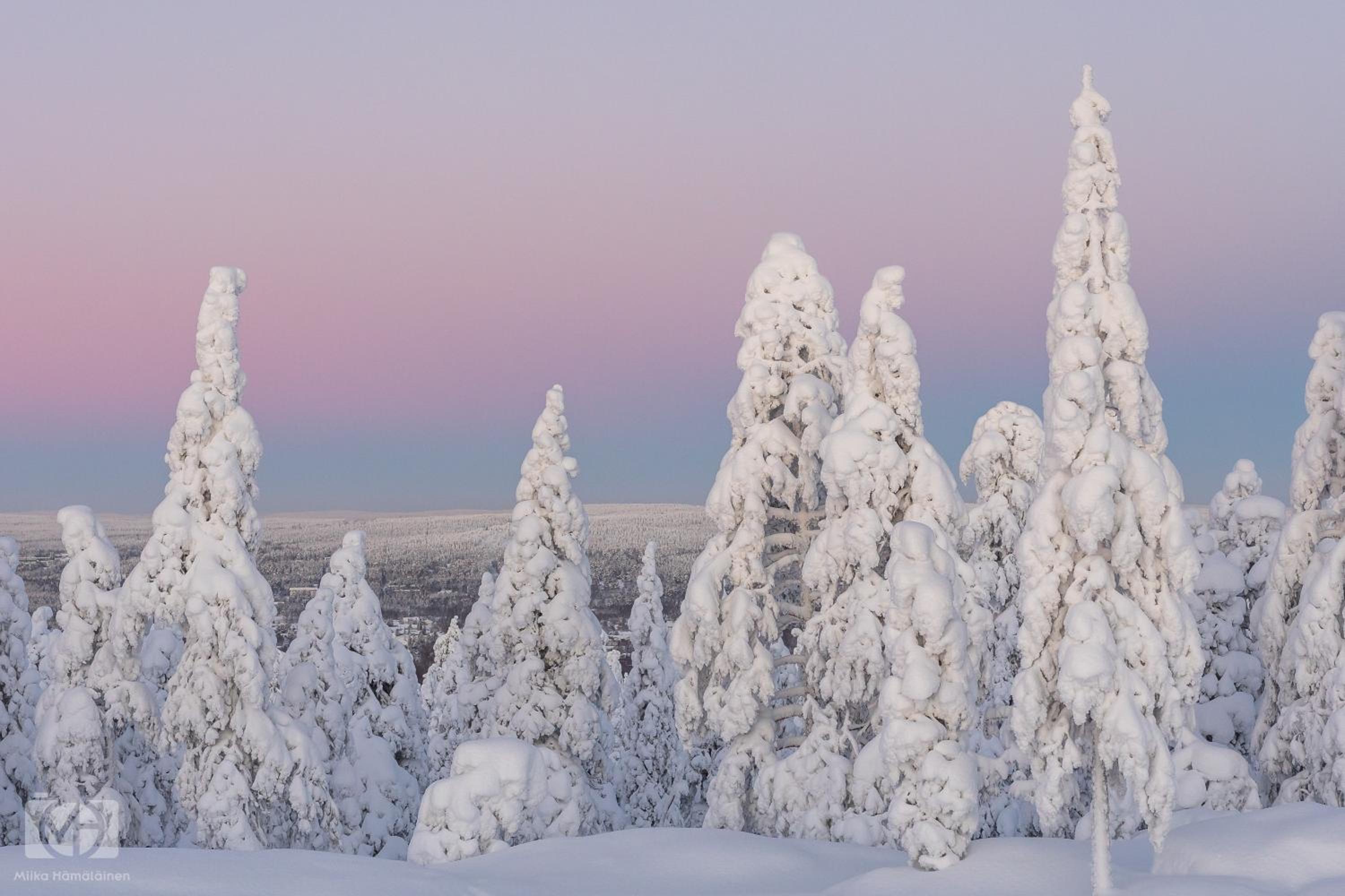 Northern Bliss Hideaway