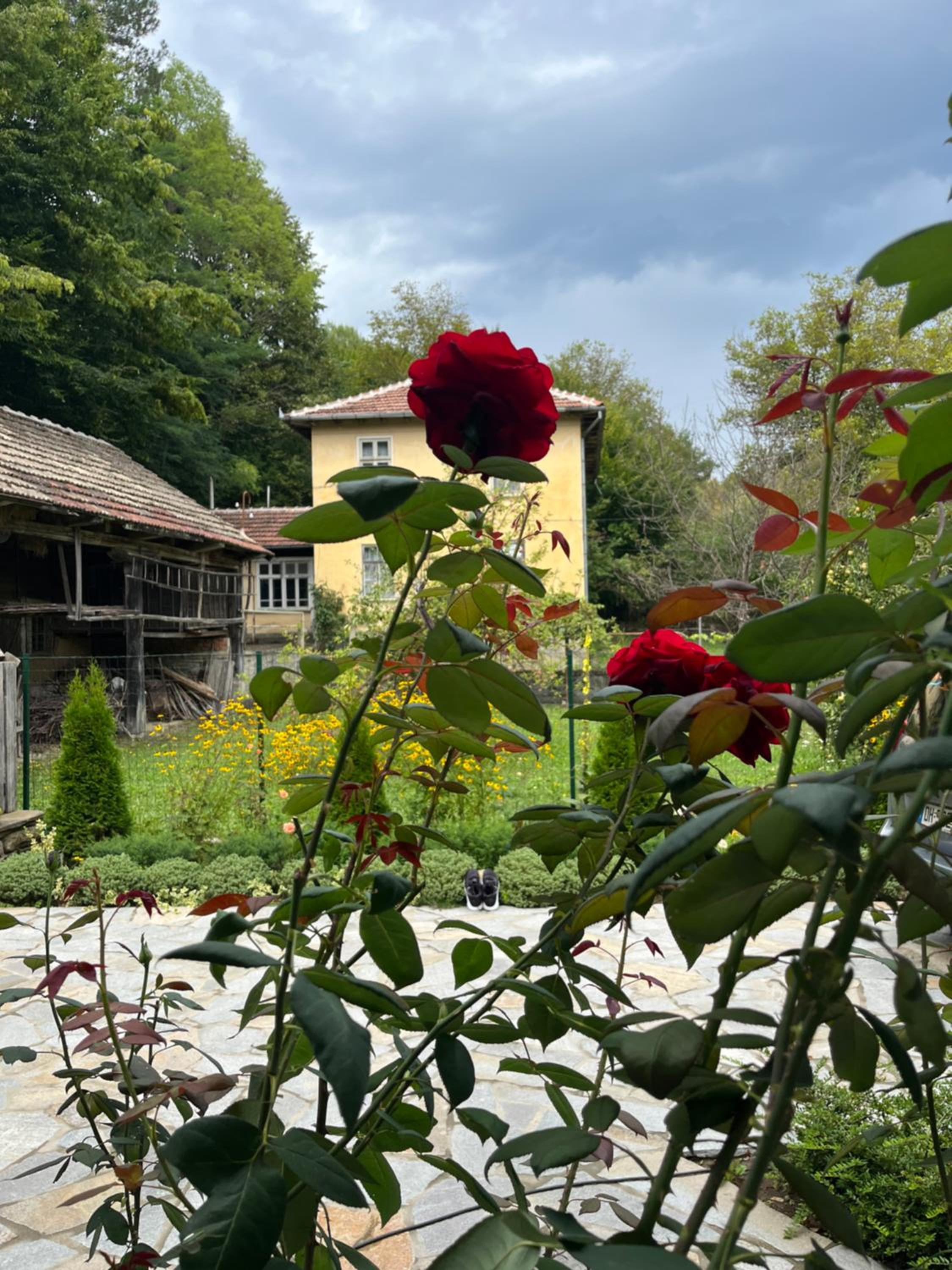 Verta House