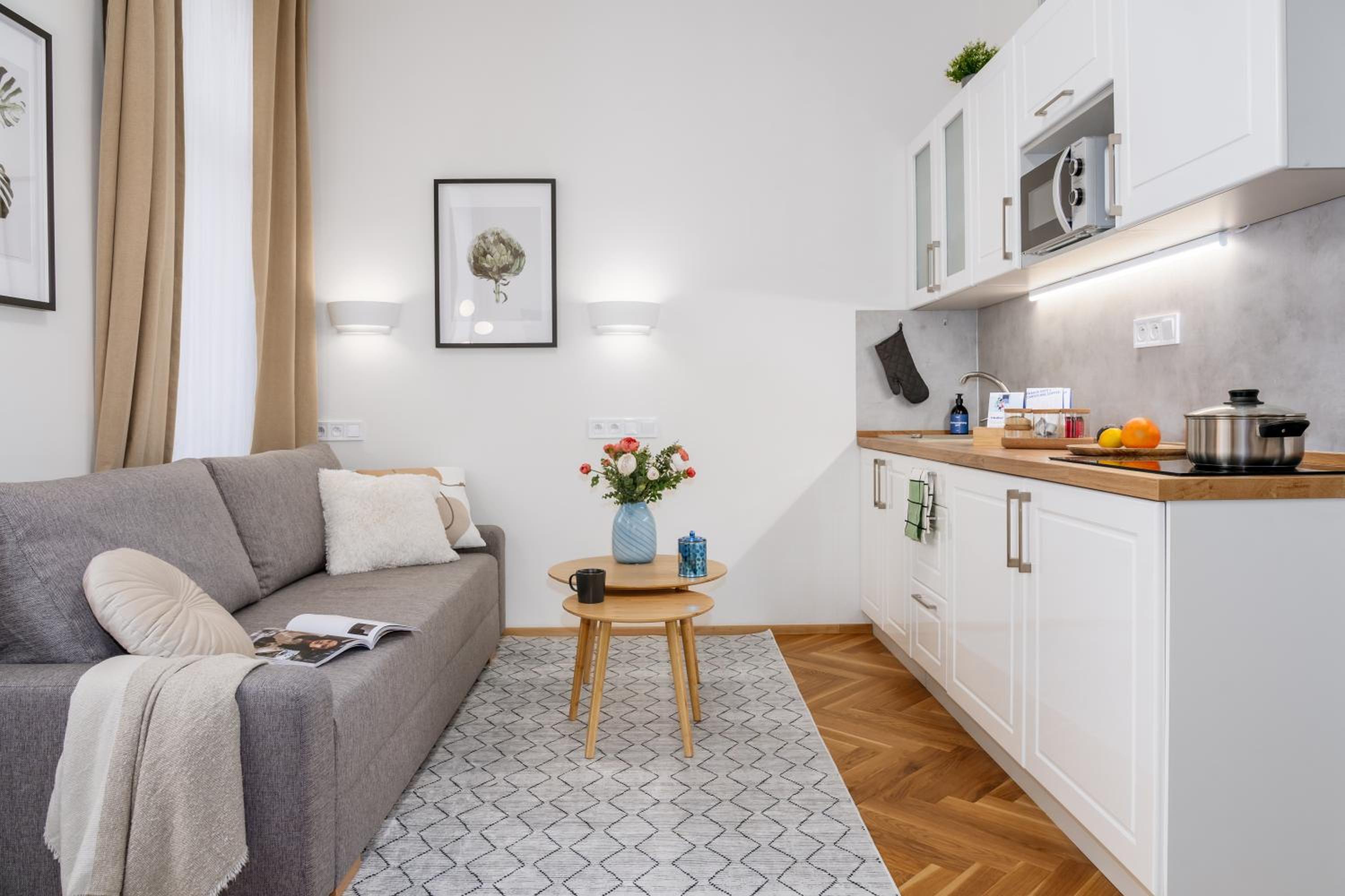 Fully Equipped Studio near Wenceslas Square by Prague Days