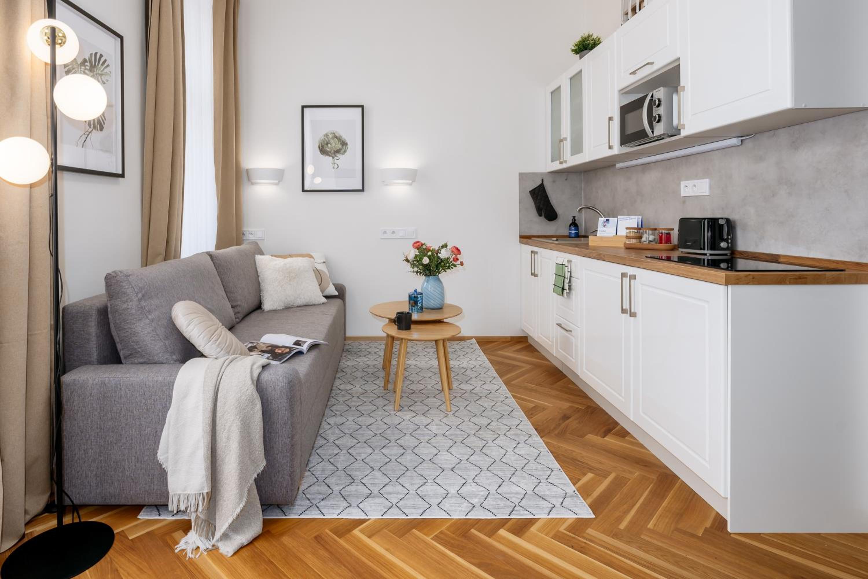 Fully Equipped Studio near Wenceslas Square by Prague Days