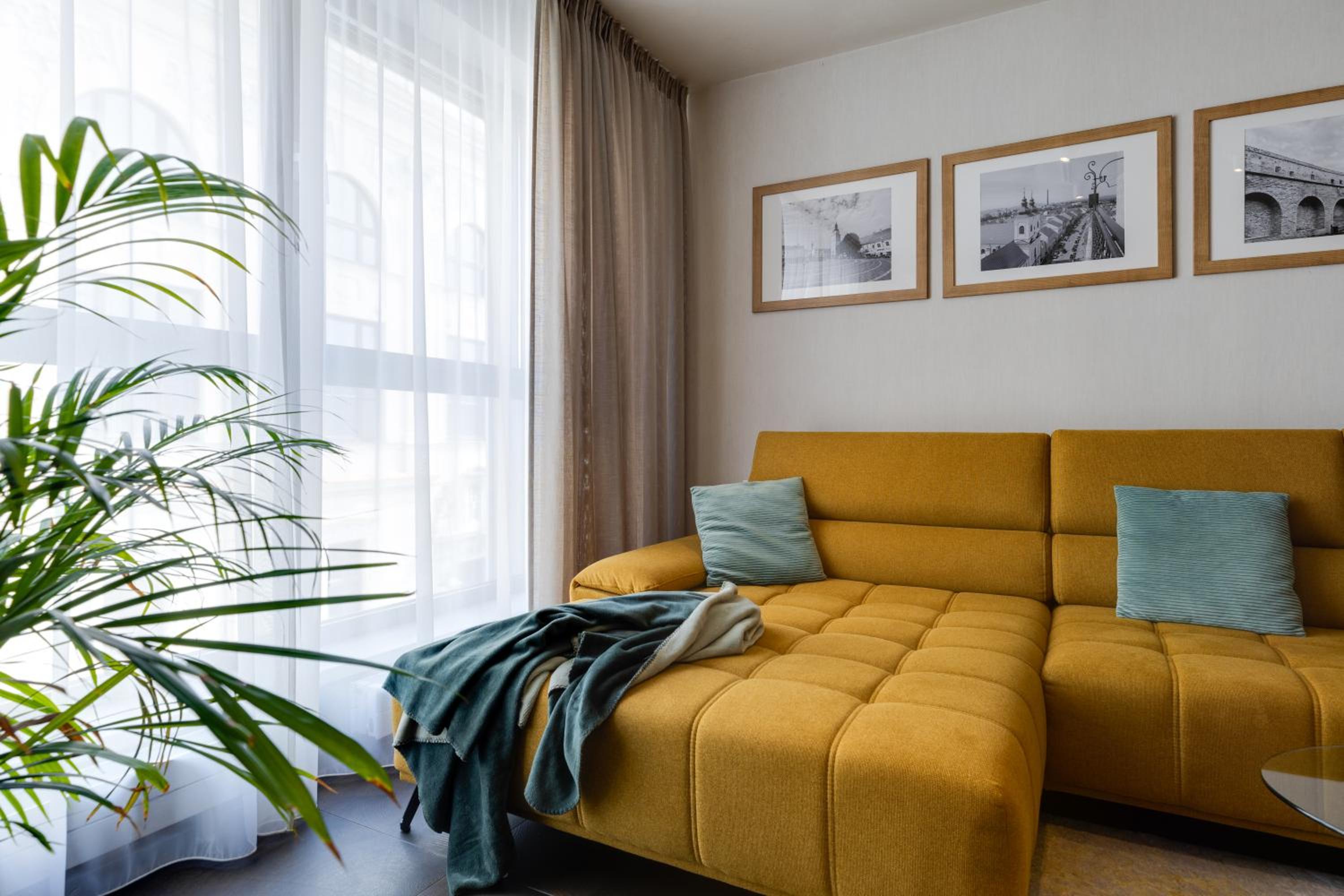 Apartmán Leonardo - city center view 3